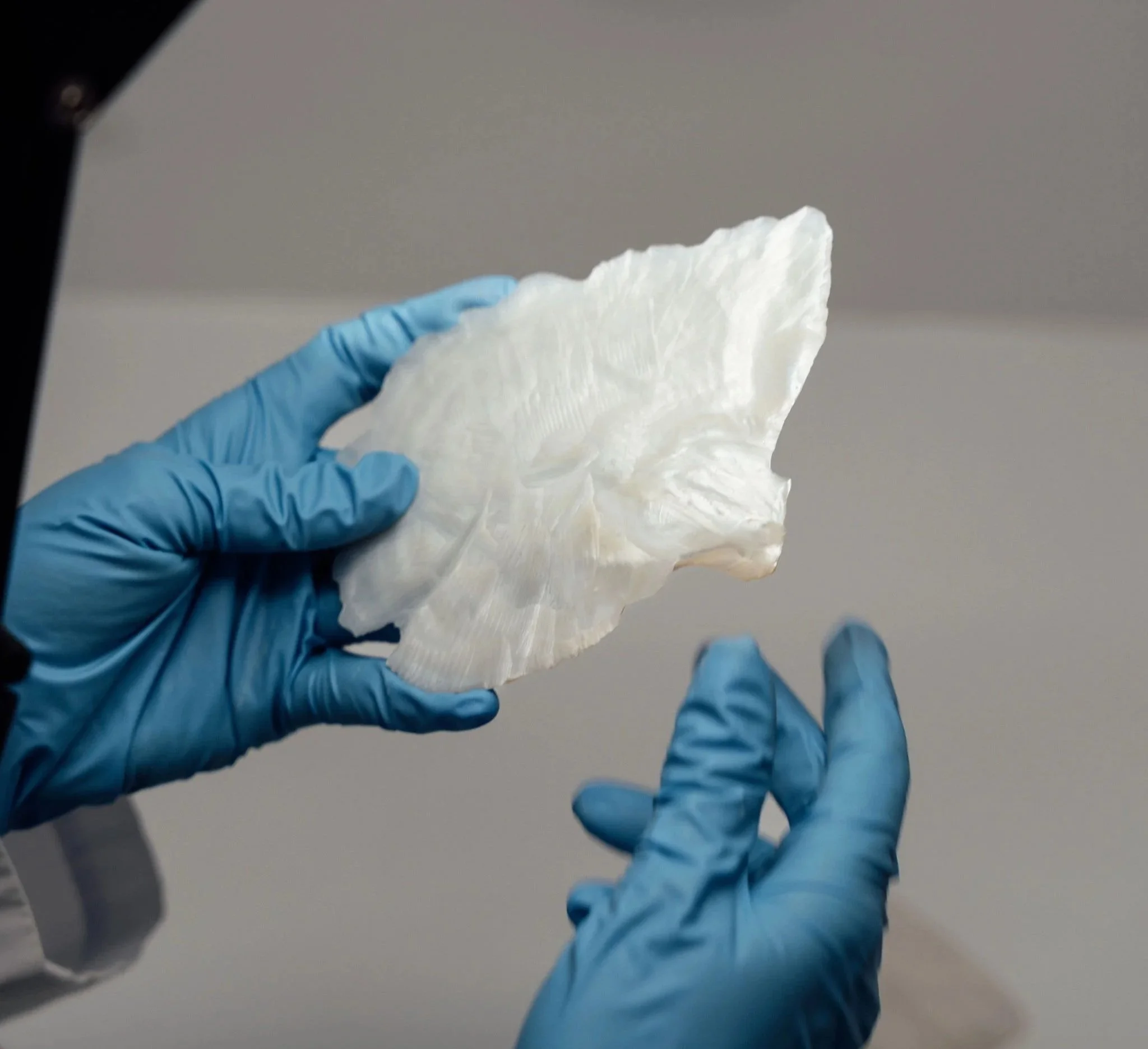 Gloved hands holding PearlBone™ biomaterial sample in a controlled setting