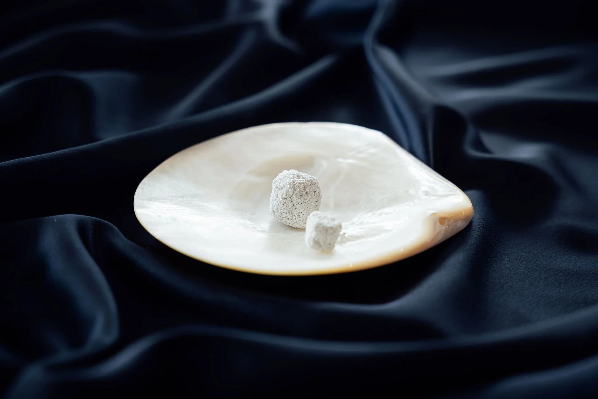 PearlBone™ putty displayed on a pearl shell, illustrating nacre-derived biomaterial for bone regeneration