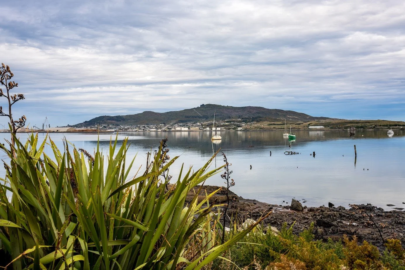 Motupōhue-Bluff-Hill-Murihiku-Maori-Tours.jpg