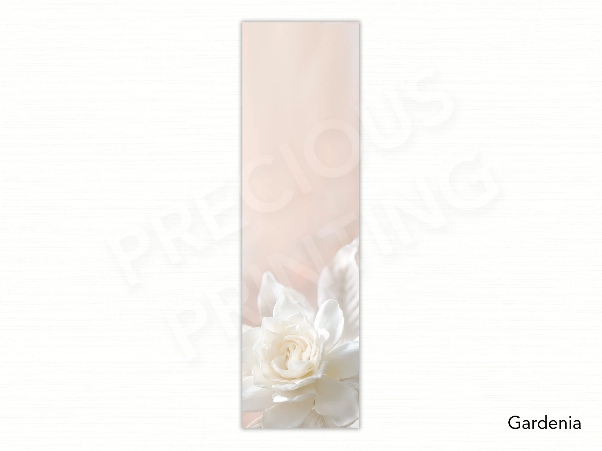 Gardenia.jpg