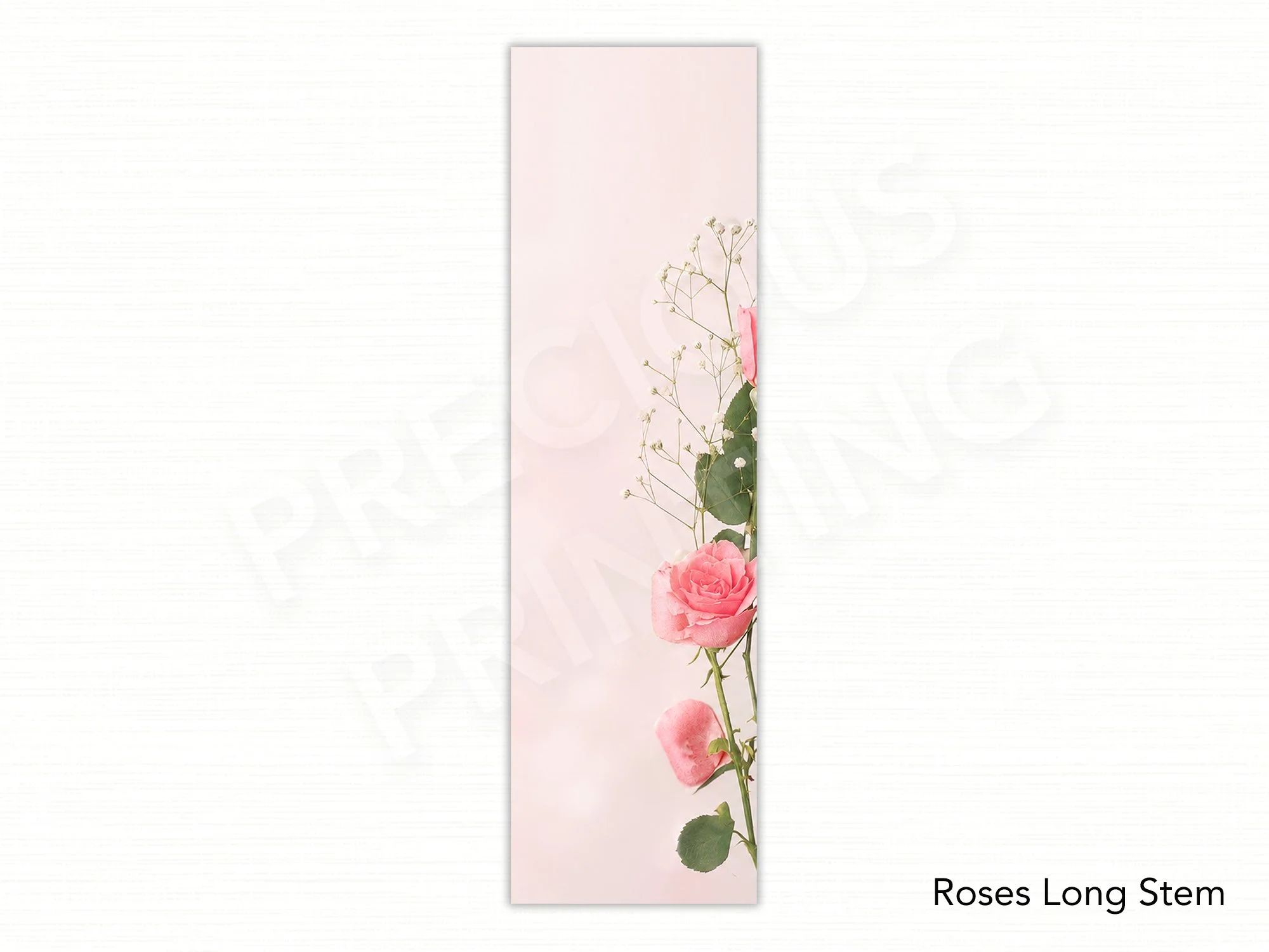 Roses Long Stem.jpg
