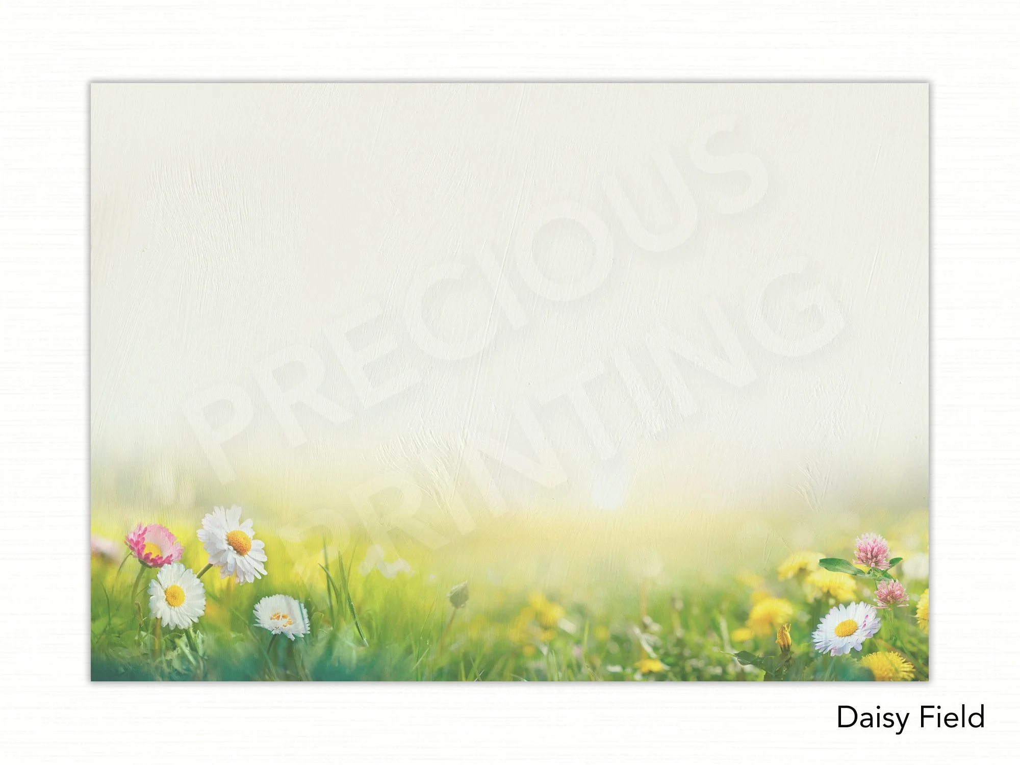 Daisy Field copy.jpg