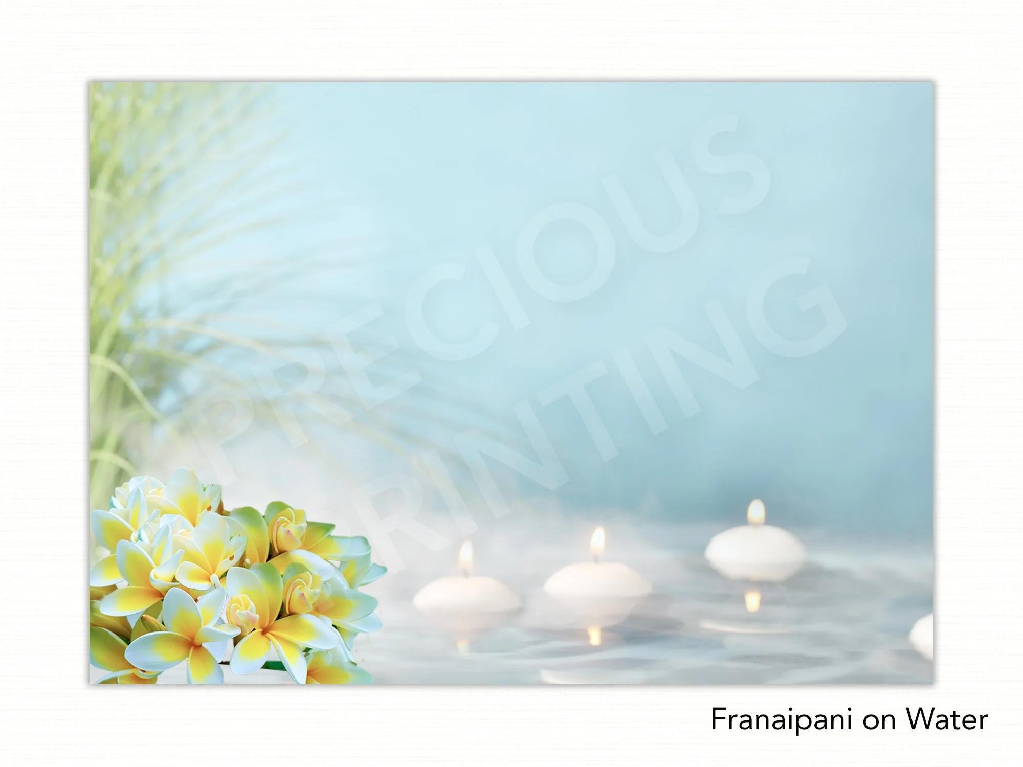 Franaipani on Water copy.jpg