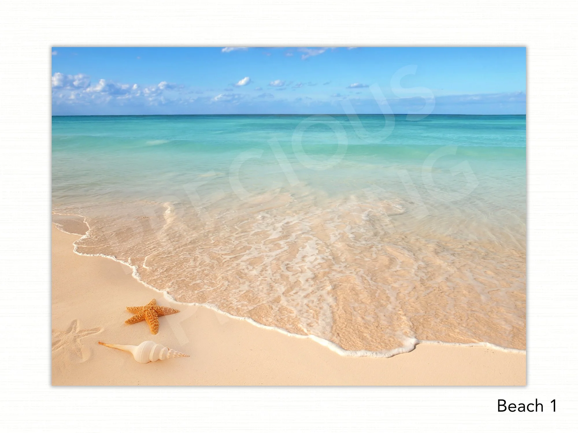Beach 1 copy.jpg