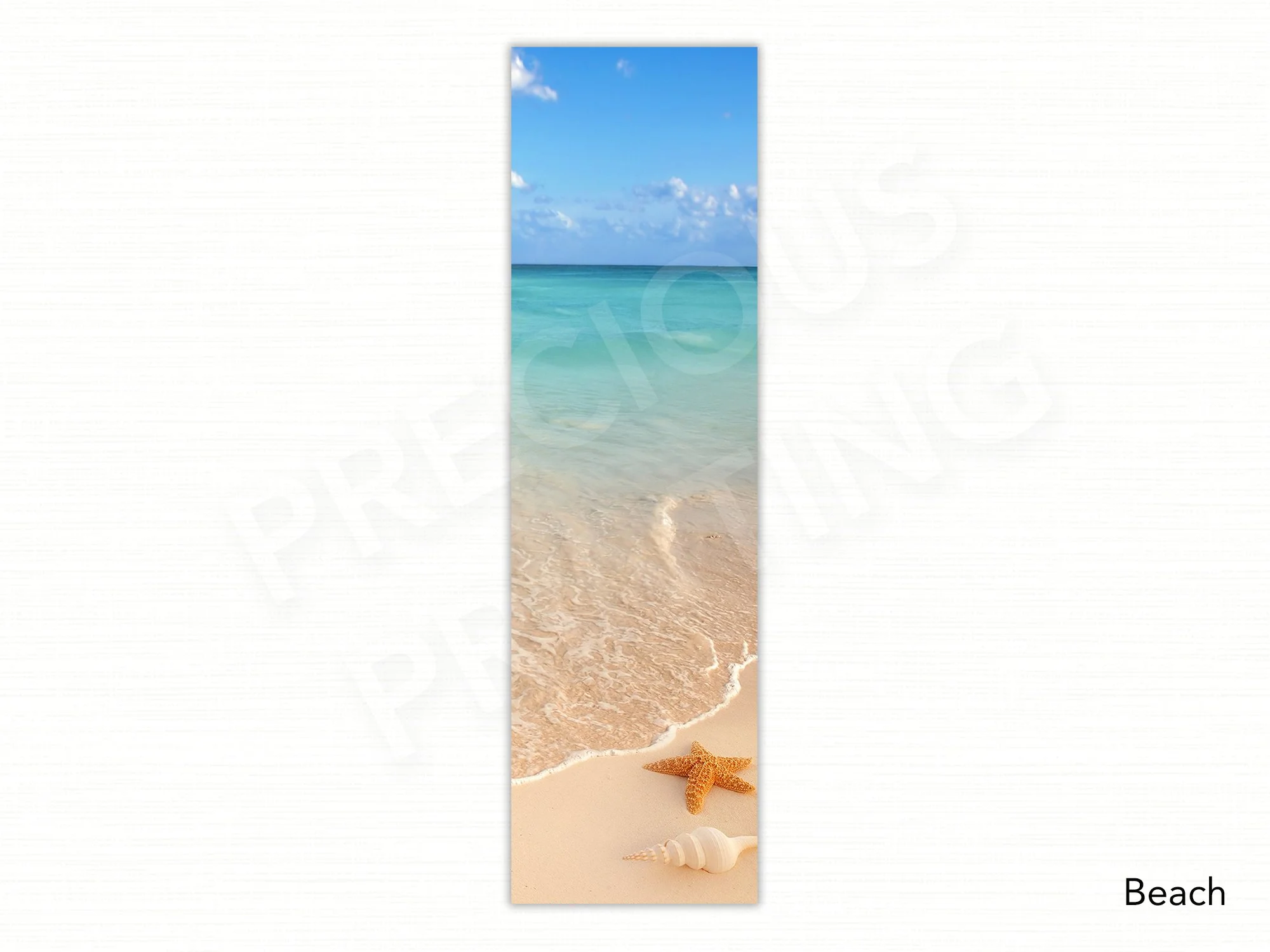 Beach.jpg