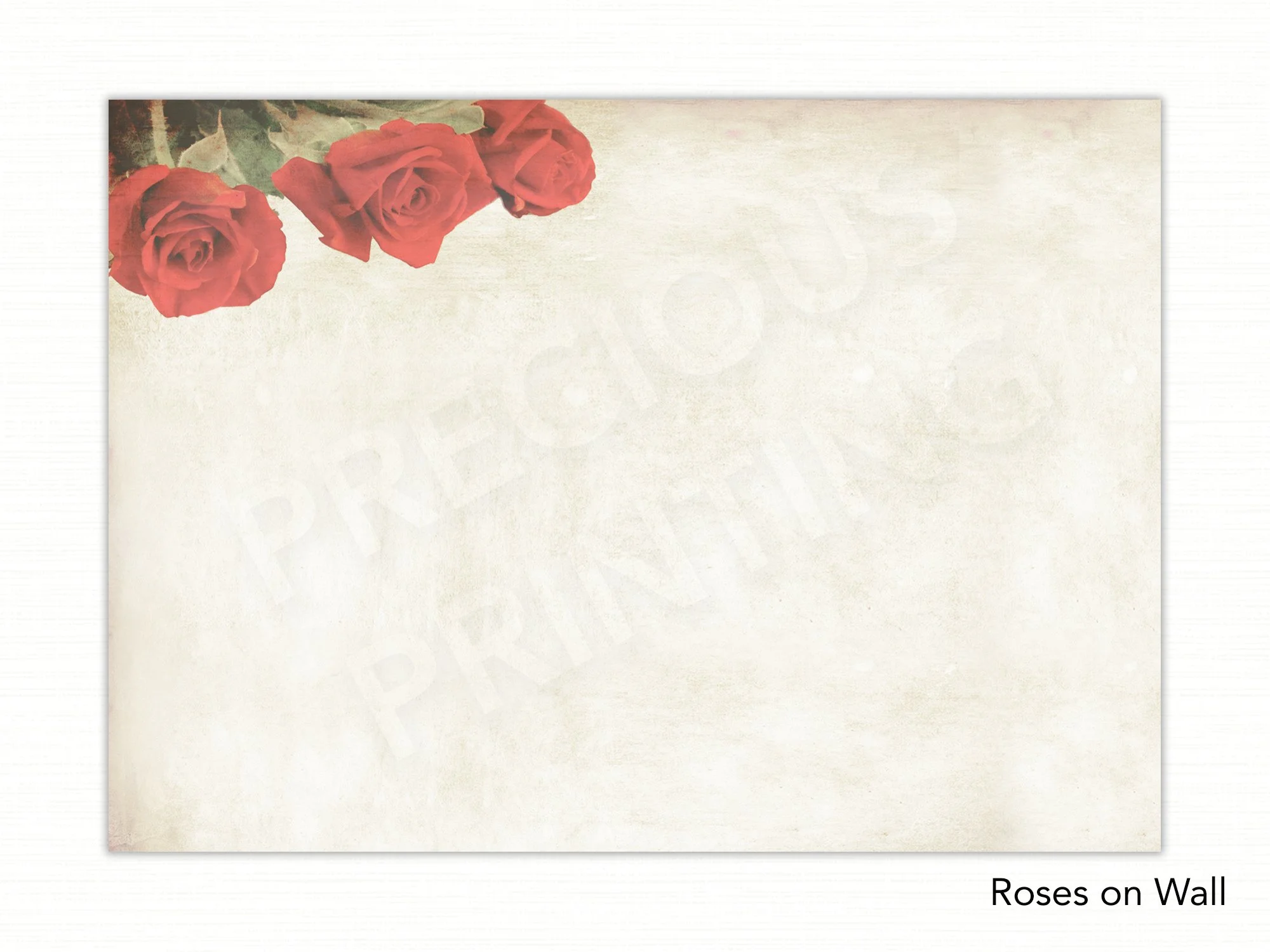 Roses on Wall copy.jpg
