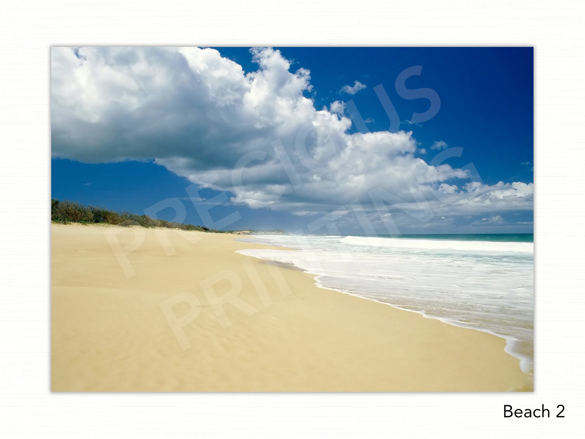 Beach 2 copy.jpg