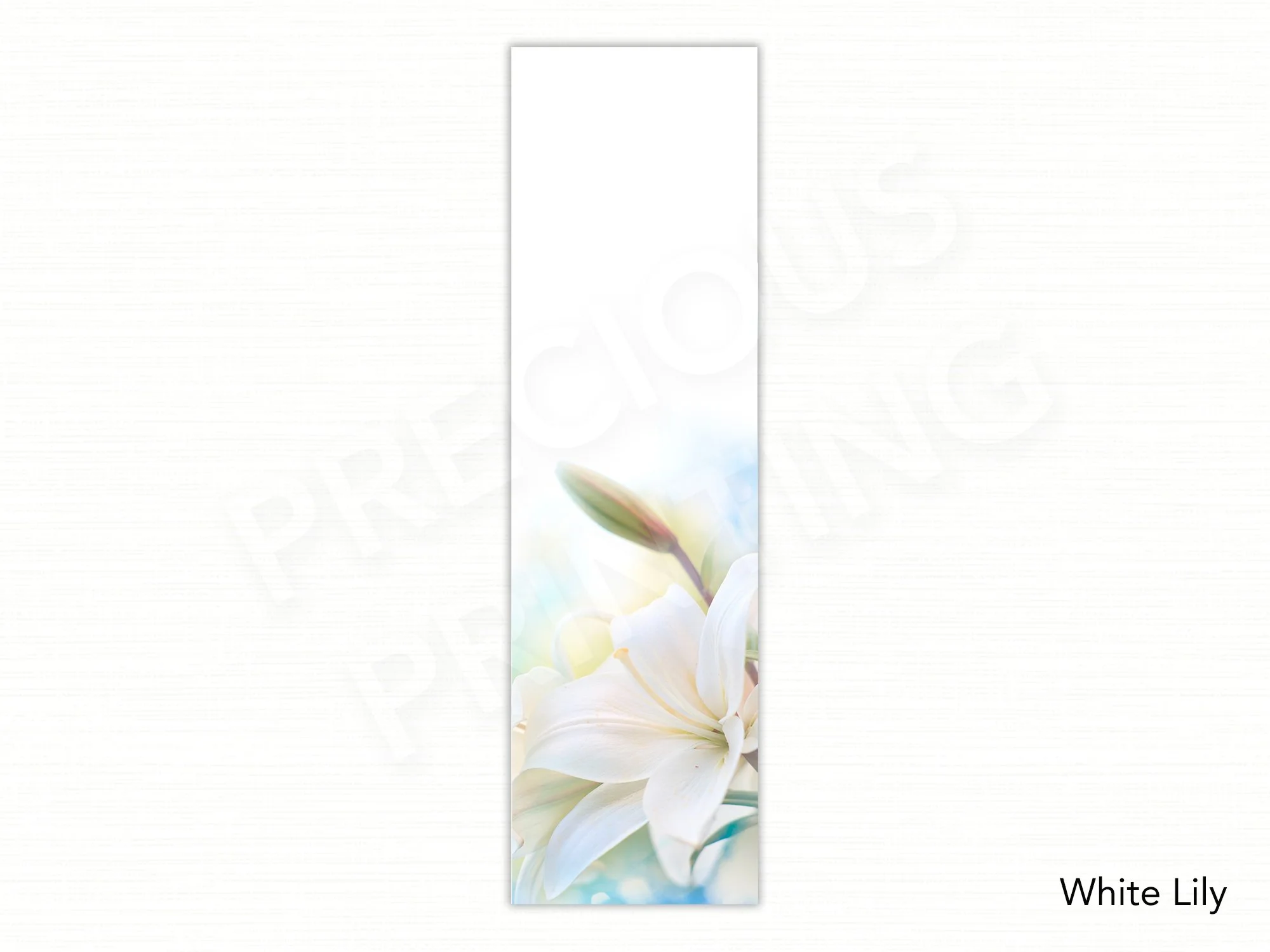 White Lily.jpg