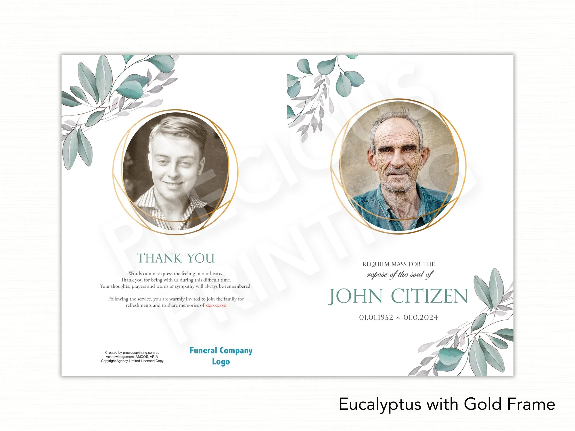 Eucalyptus with Gold Frame.jpg
