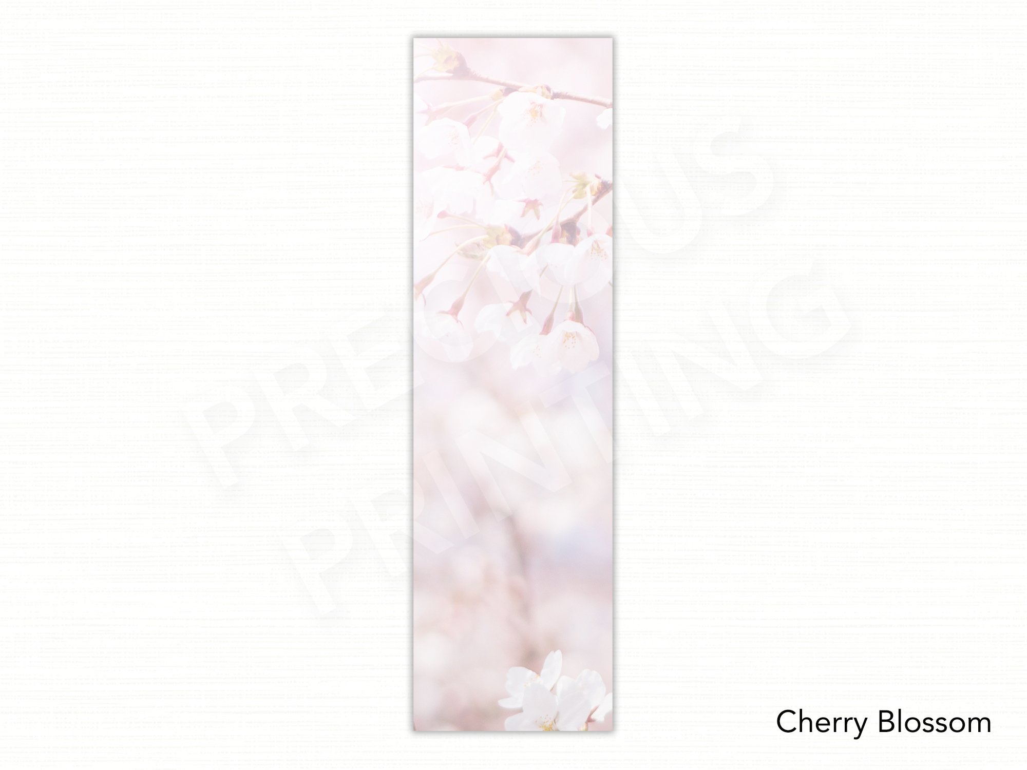 Cherry Blossom.jpg