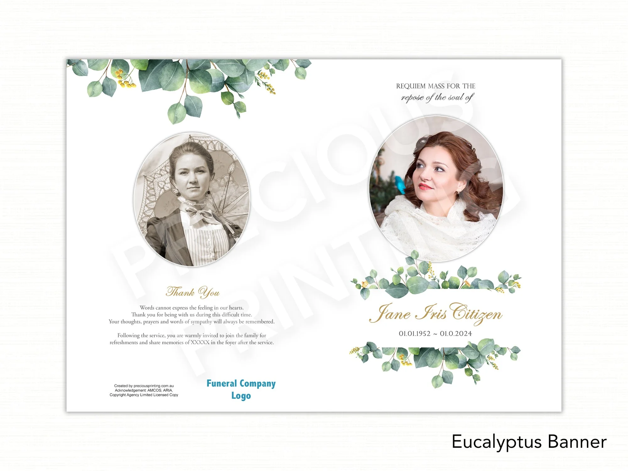 Eucalyptus Banner.jpg