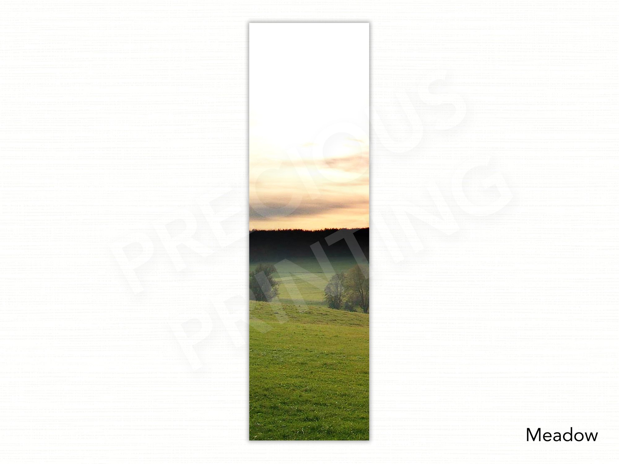 Meadow.jpg