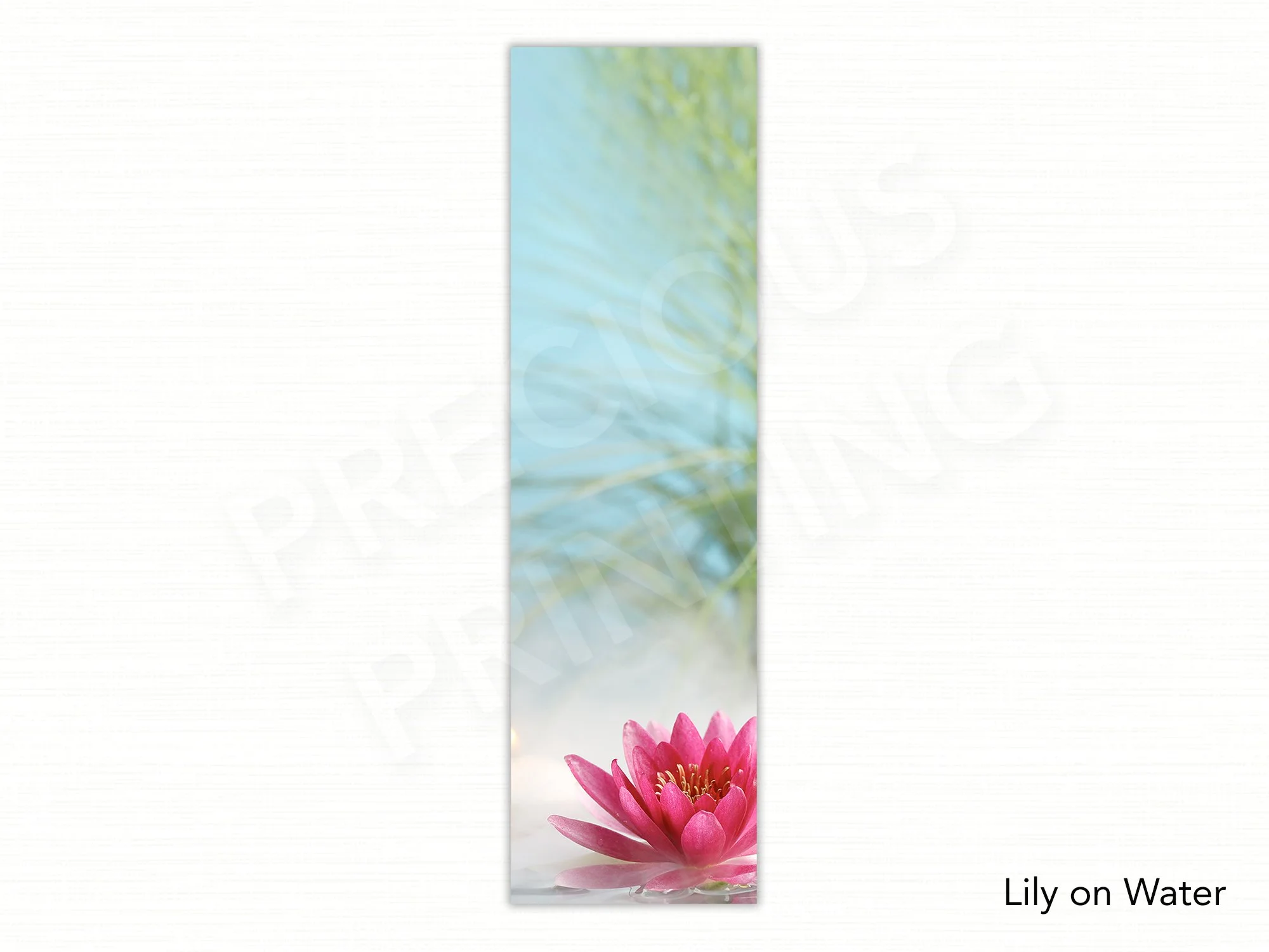 Lily on Water.jpg