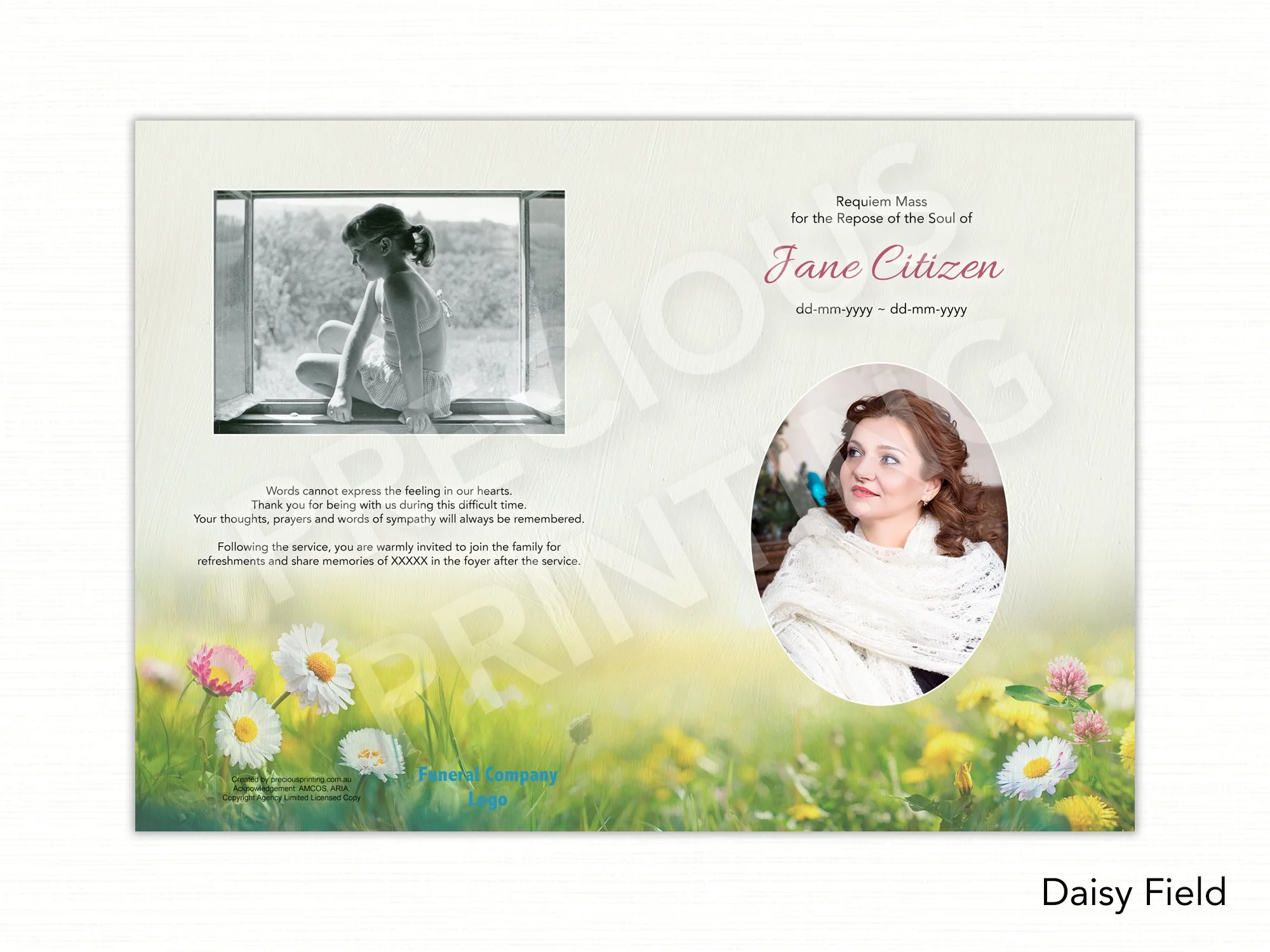 Daisy Field.jpg