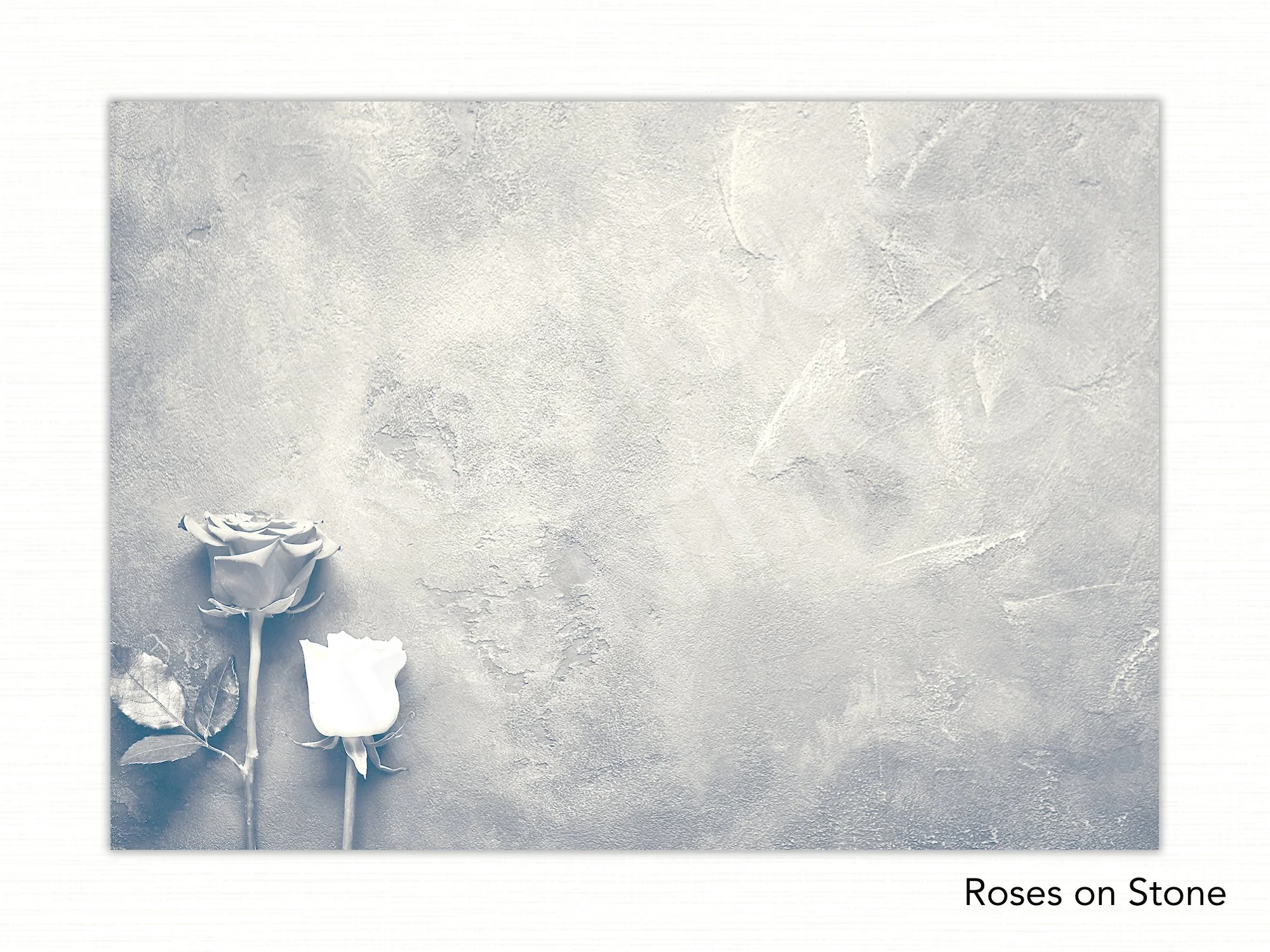 Roses on Stone copy.jpg