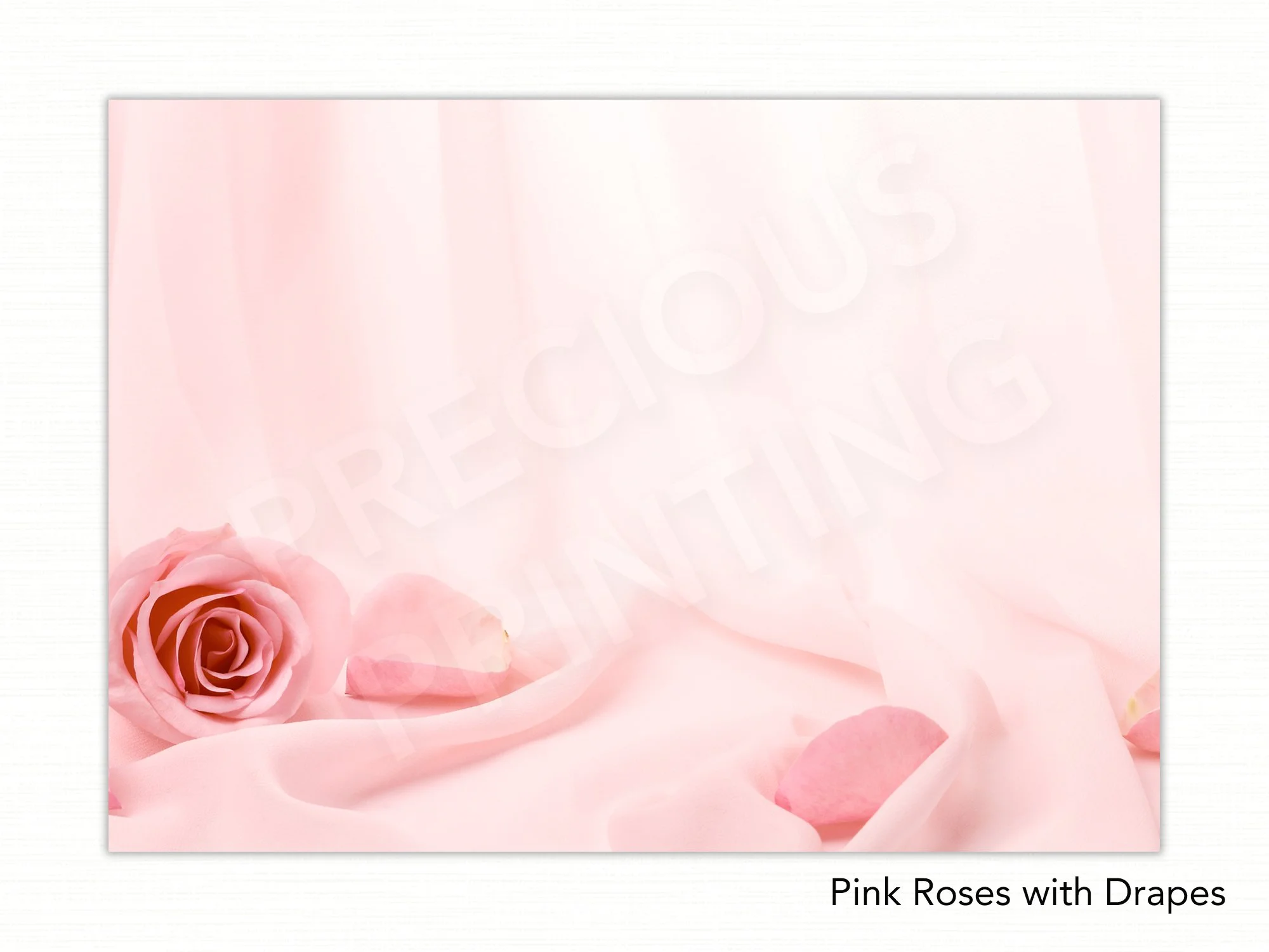 Pink Roses with Drapes copy.jpg