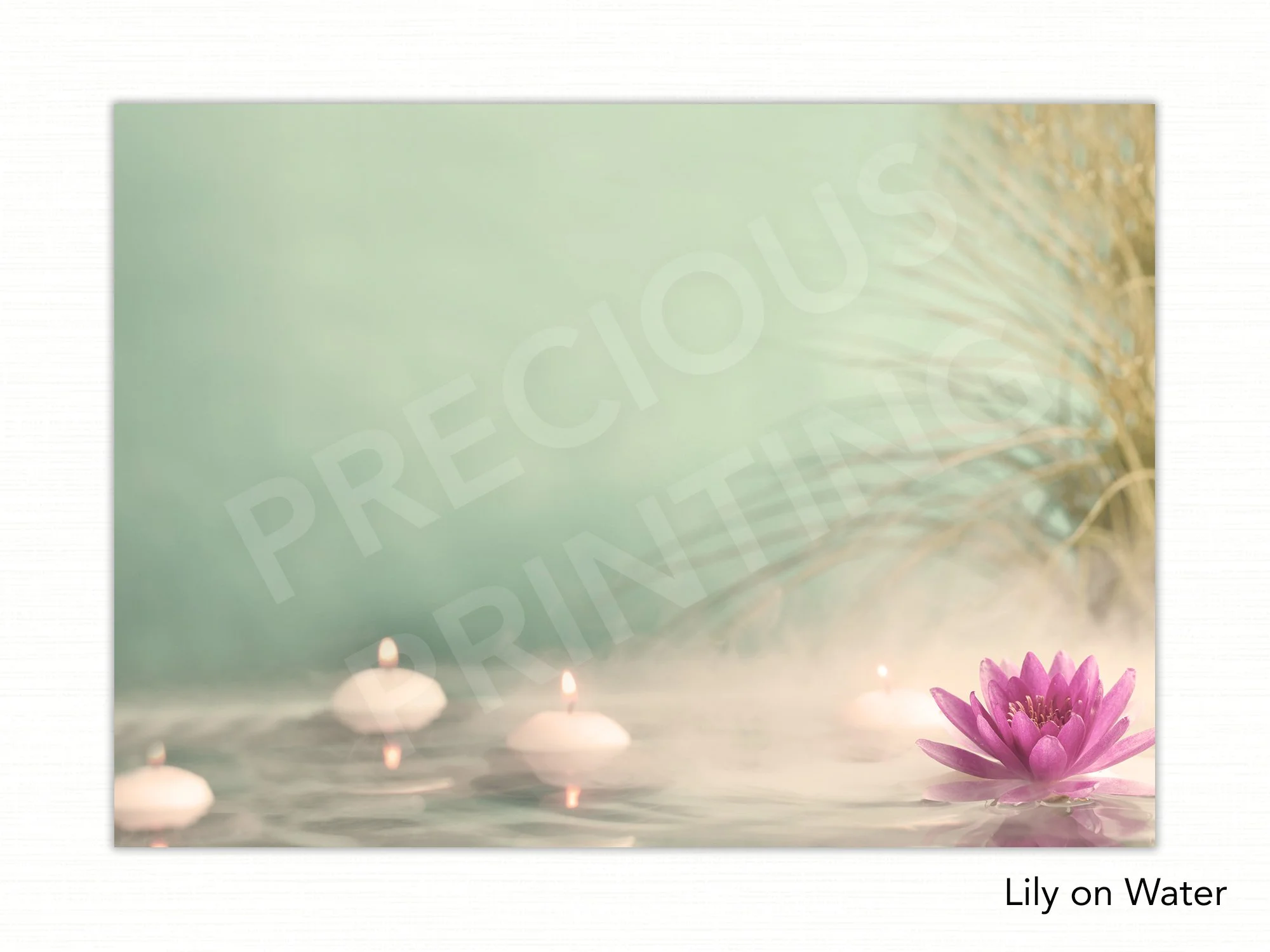 Lily on Water copy.jpg