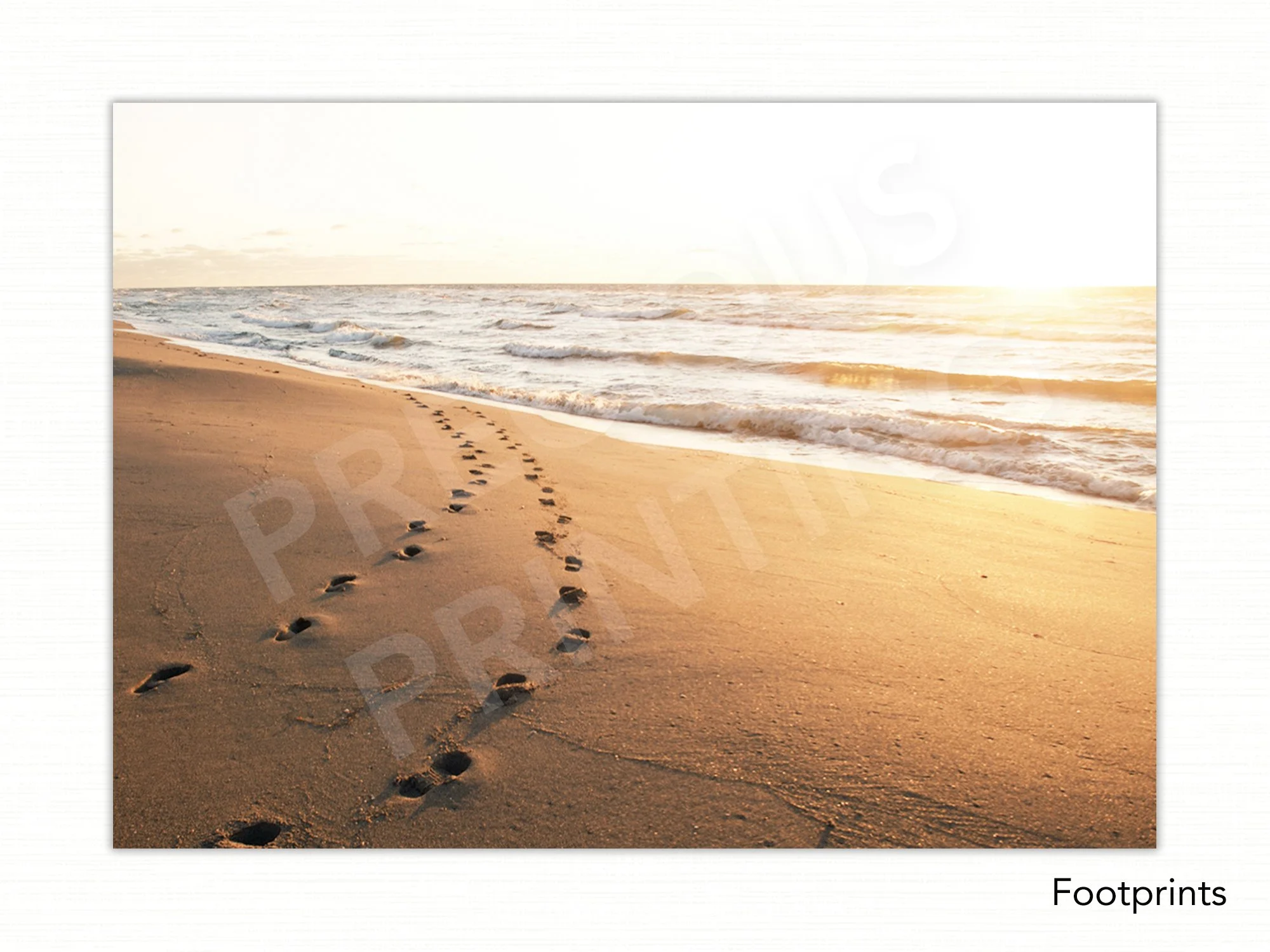 Footprints copy.jpg