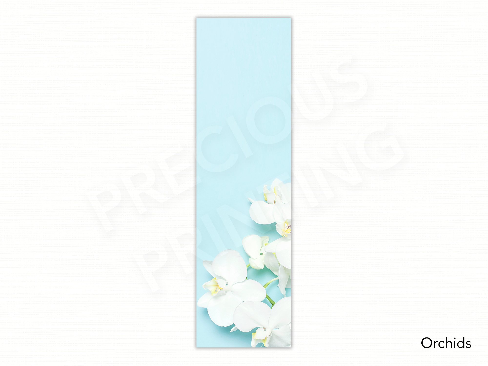 Orchids.jpg