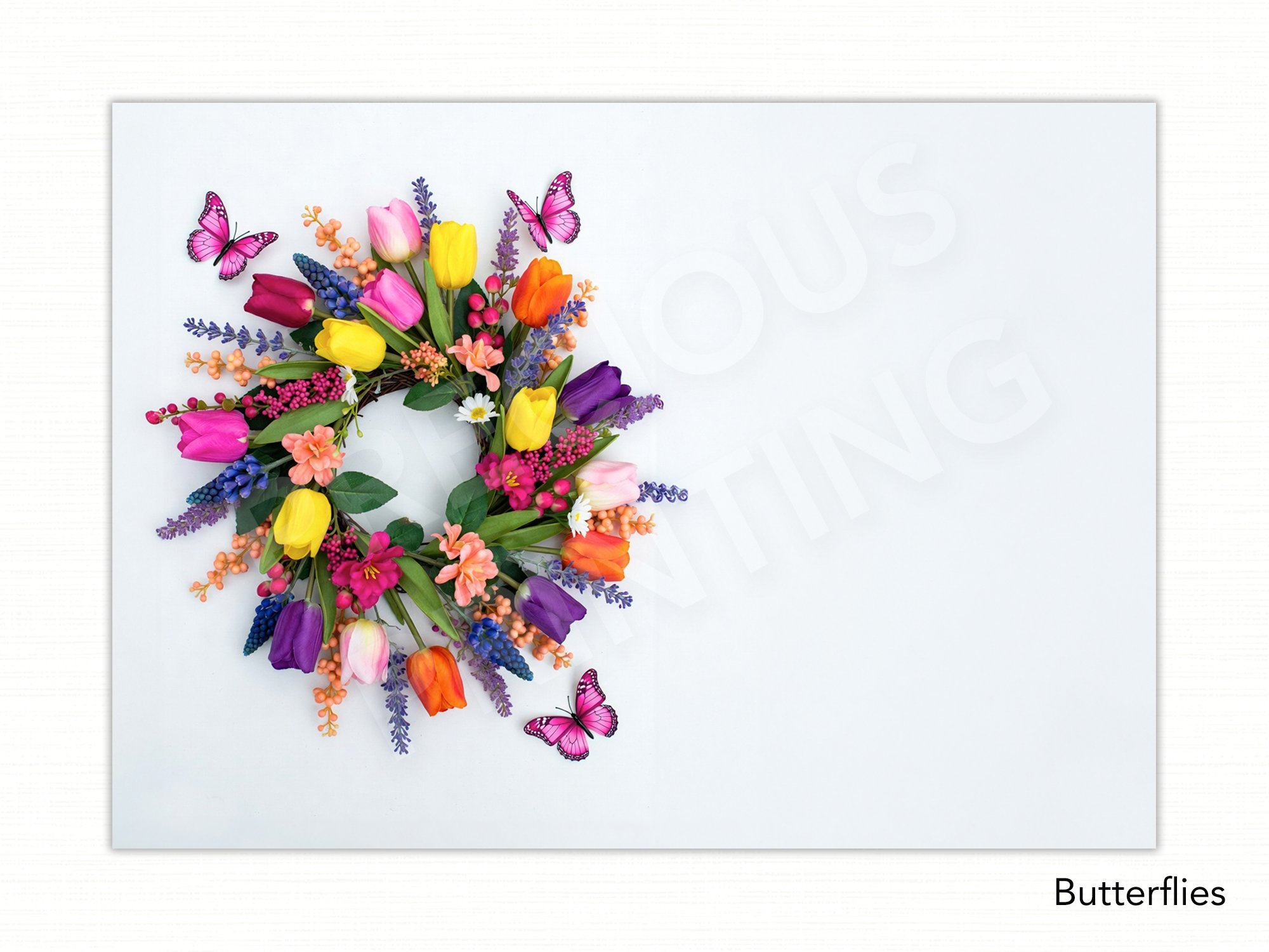 Butterflies copy.jpg