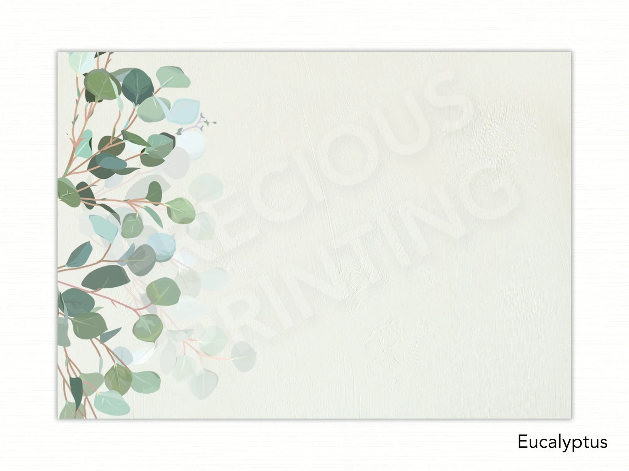 Eucalyptus copy.jpg