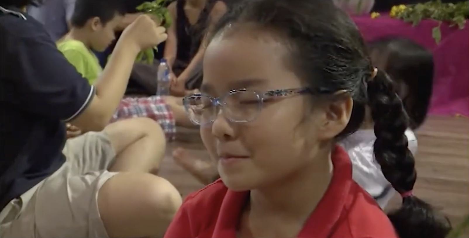 Múa/Chuyển động trị liệu Việt Nam - Dưới góc nhìn của Chuyên gia