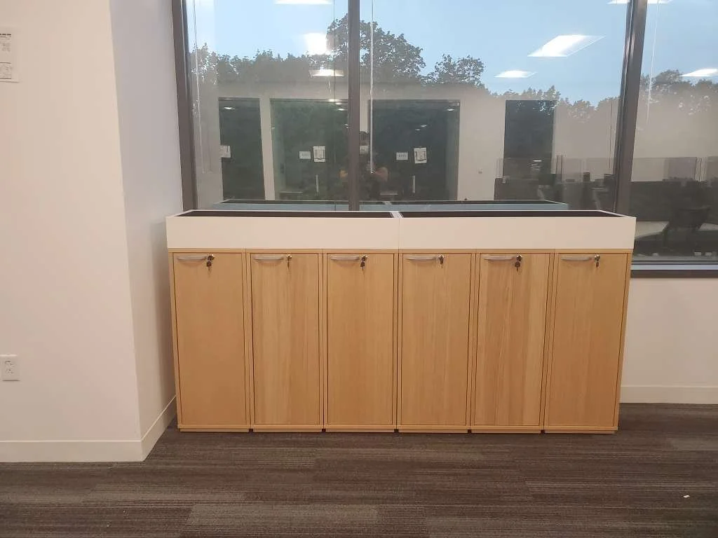 WhatsApp Image 2025-12-08 at 9.02.41 PM.jpeg