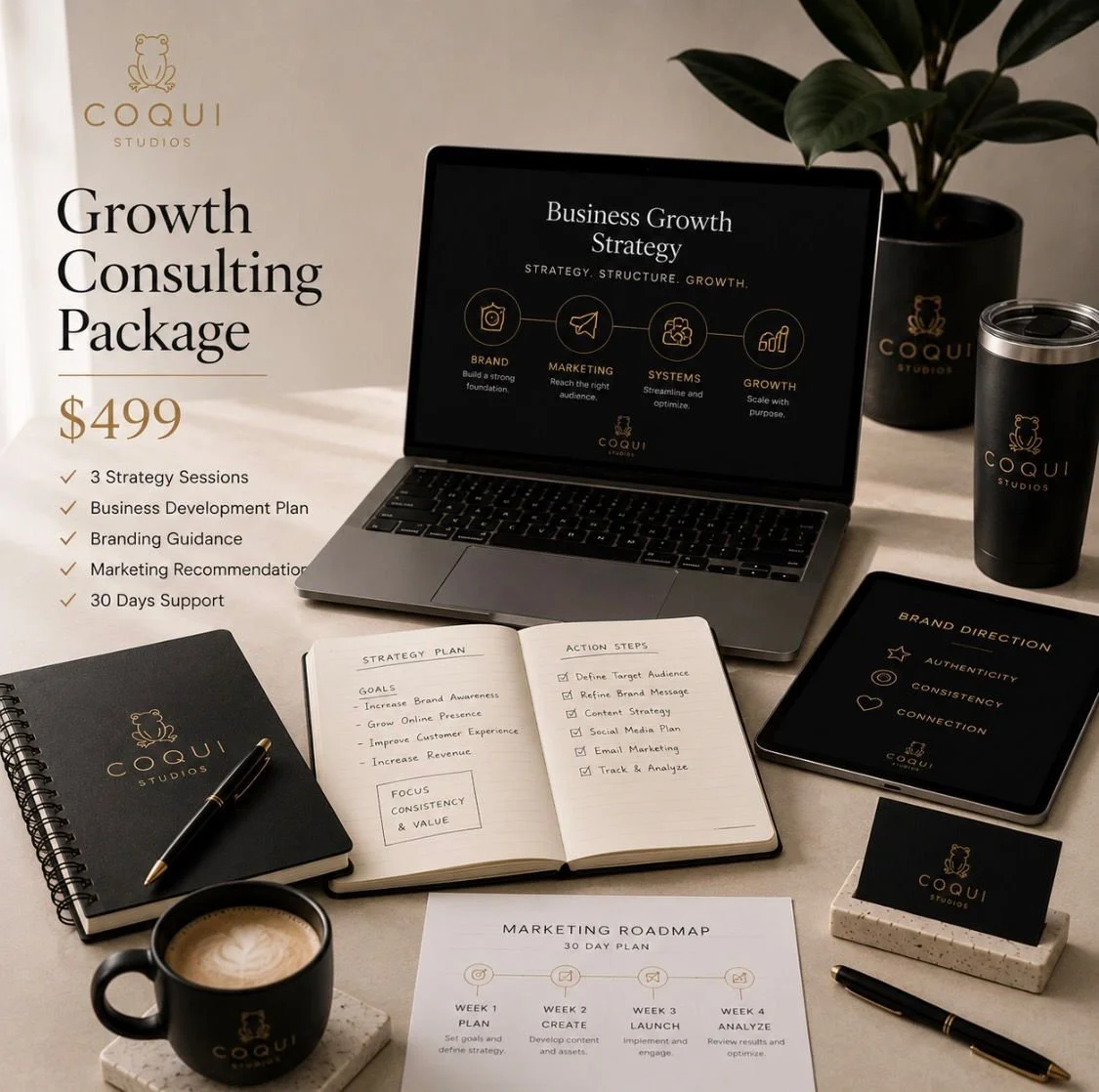 Growth Consulting Package