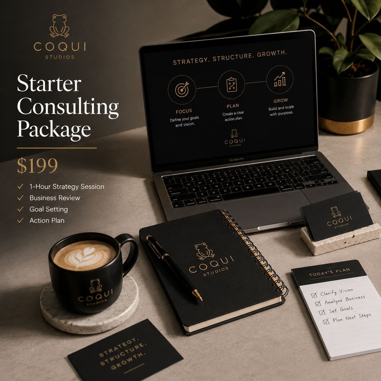 Starter Consulting Package