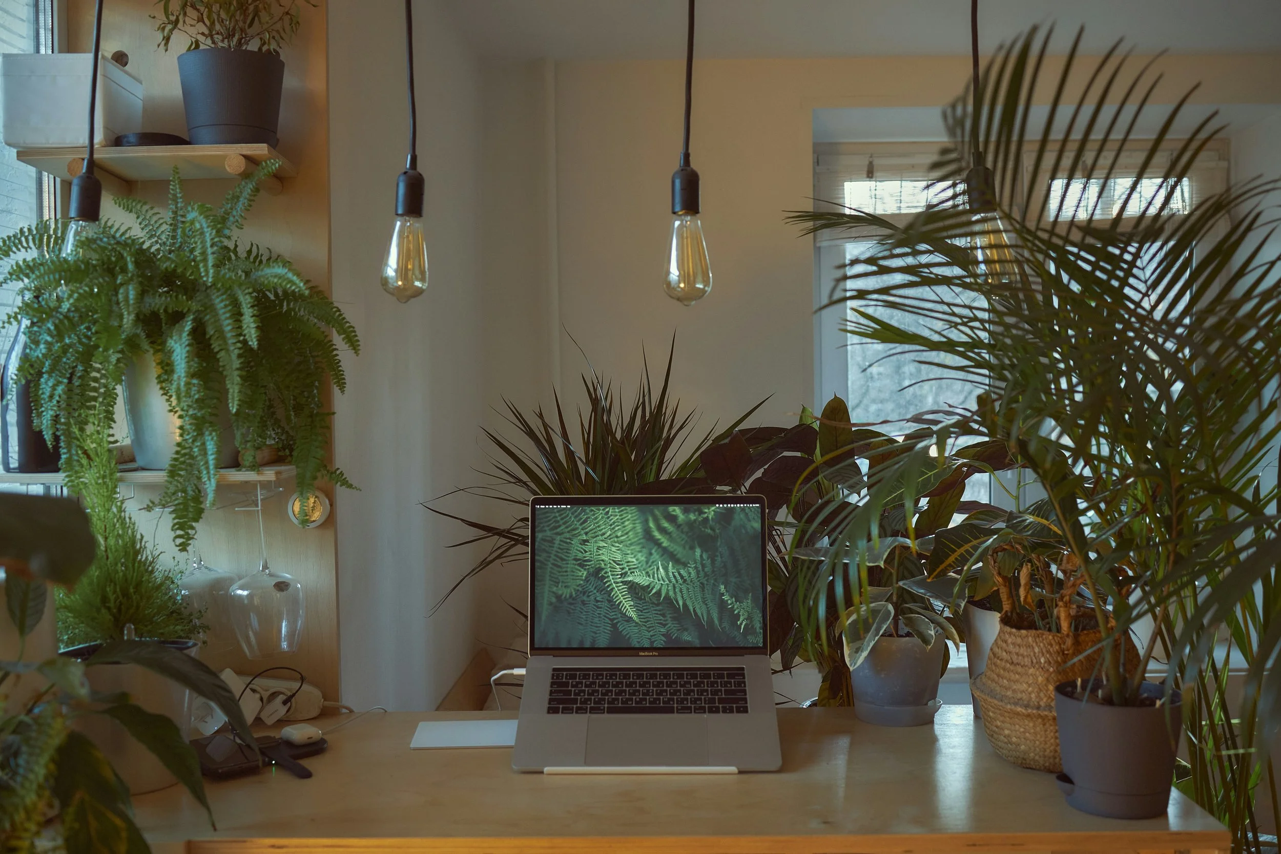 A home office desk with a MacBook laptop displaying a fern image on the screen, surrounded by various green plants in pots, with natural light coming through the windows.