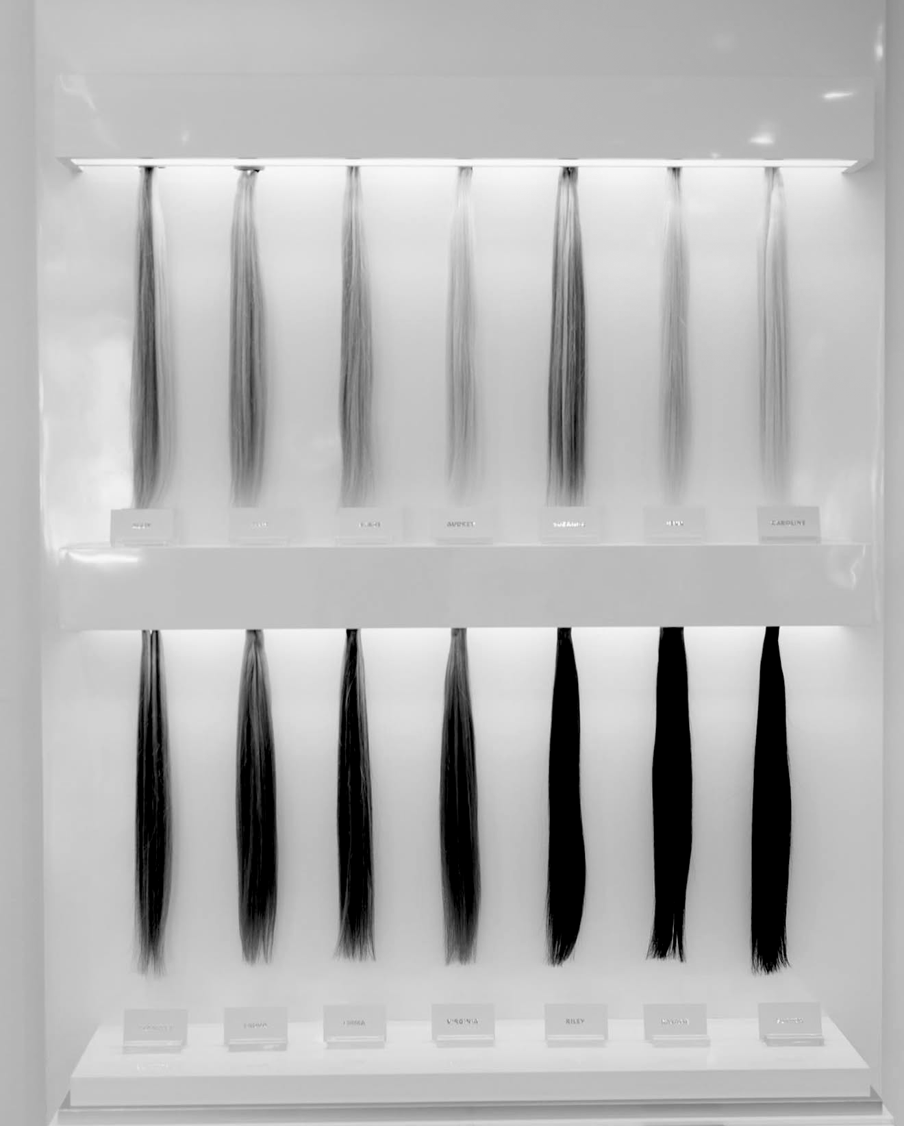 Black and white display of eight different hair strands labeled with hair color names, from blonde to black.