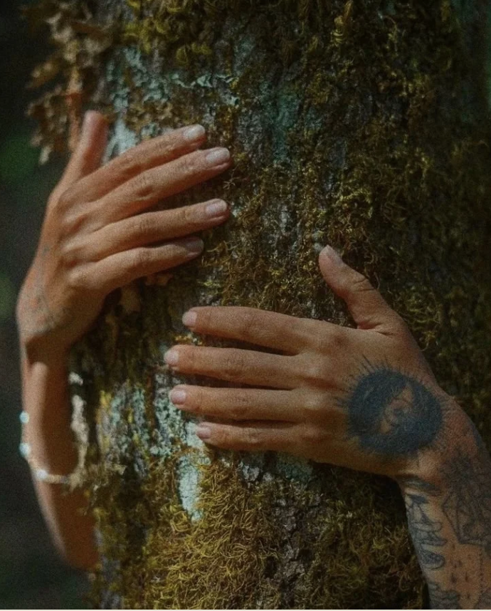Two hands, one with a tattoo, grasp a moss-covered tree trunk in a forest setting.