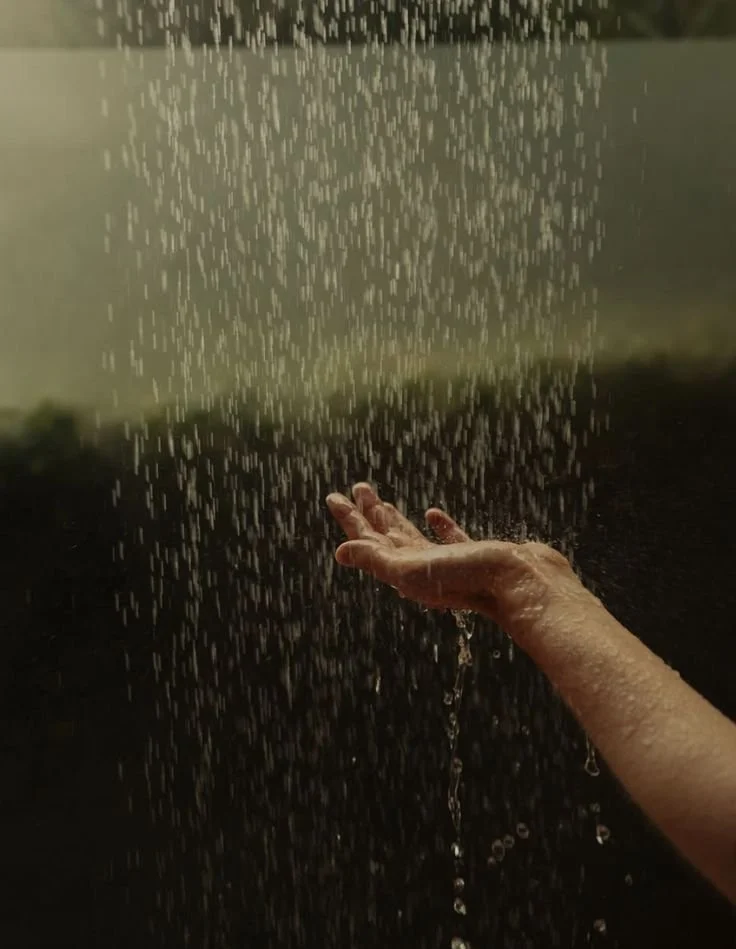 Root to Soul: The Power of Holistic Hair Care