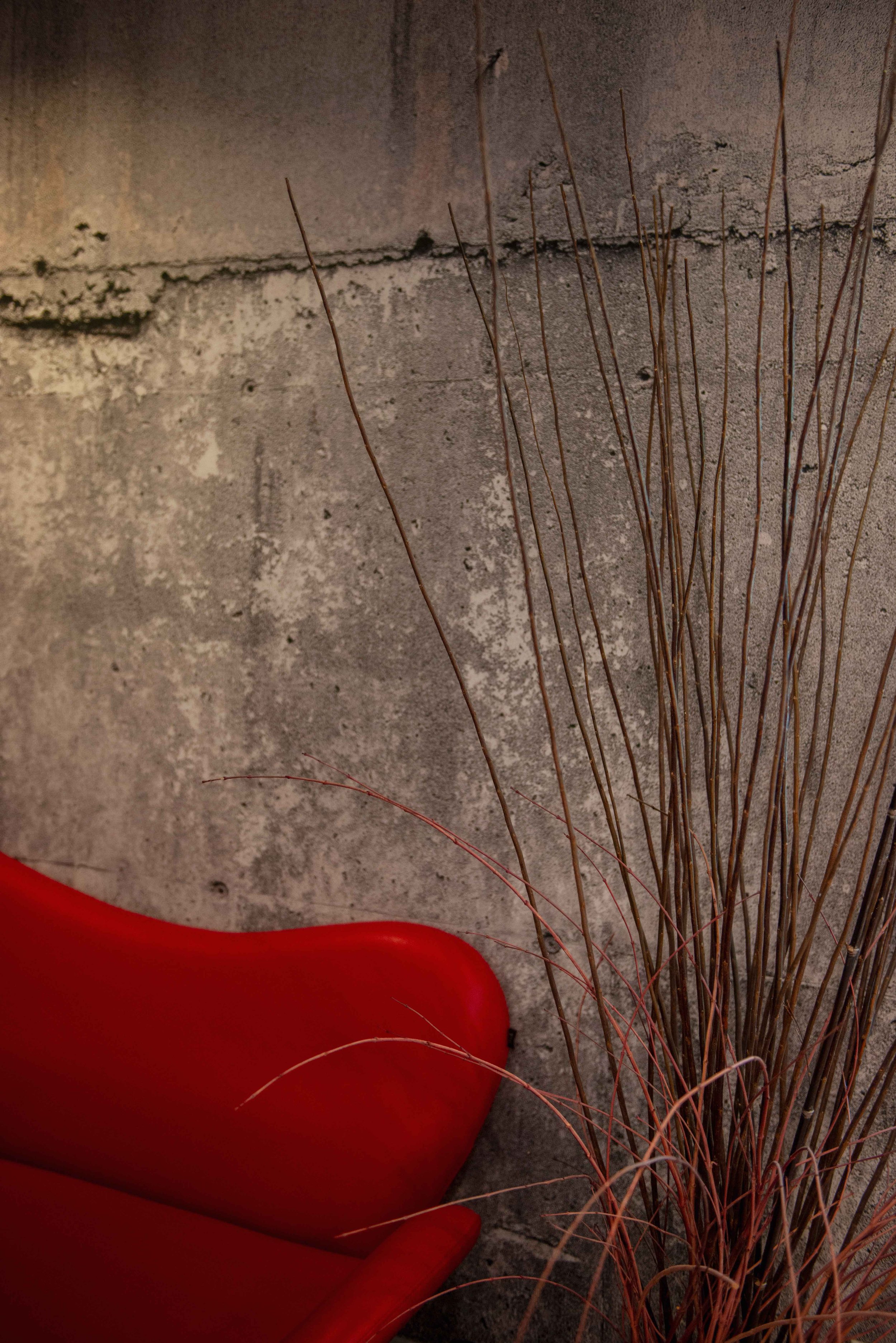 A red chair next to a bundle of tall, dry, brown grass against a textured concrete wall.