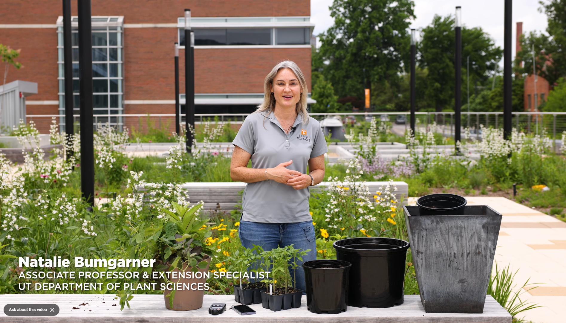 UTIA The More You Grow | Beginner Tips for Small-Space Food Production (Video)