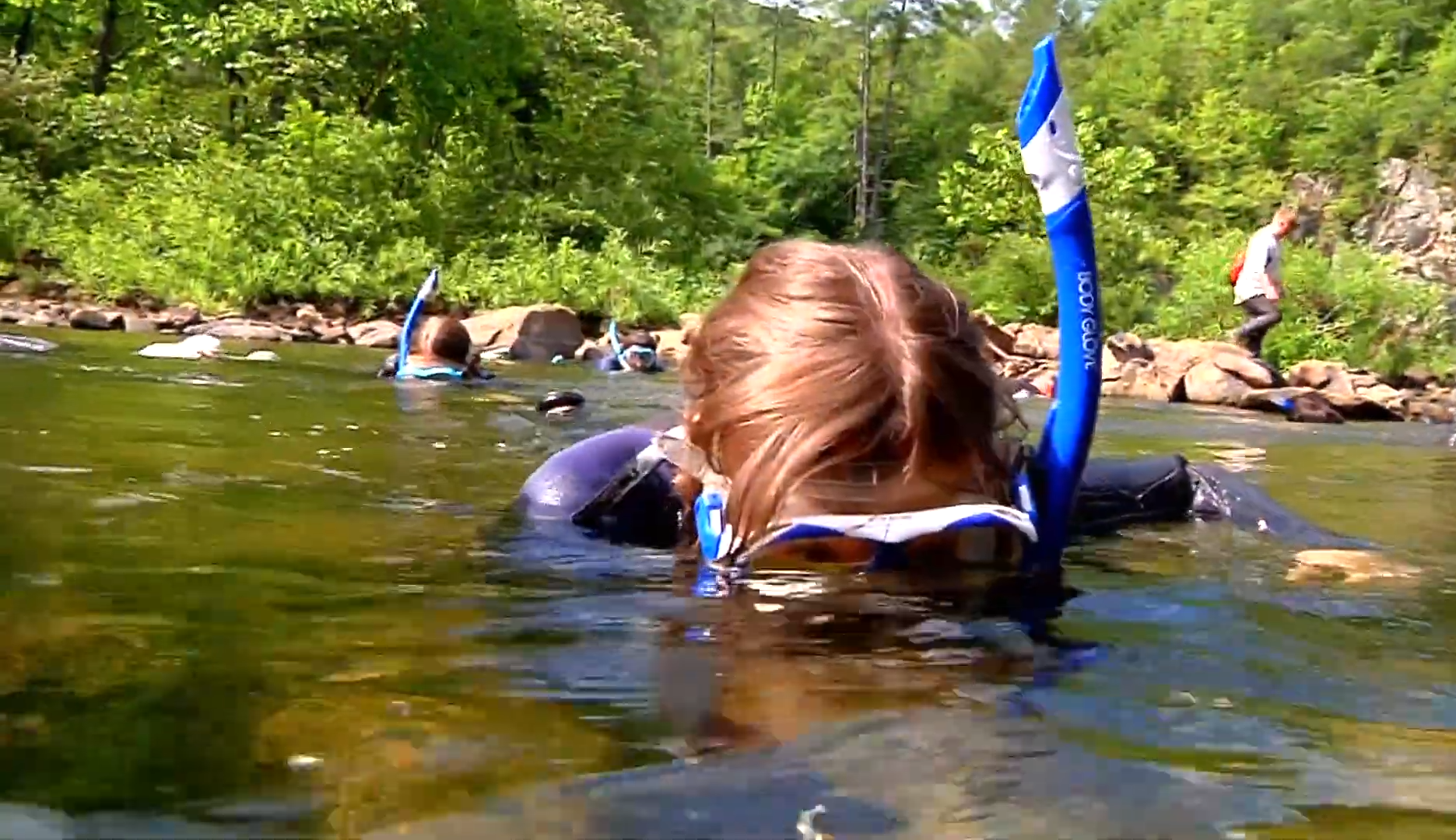 UTIA - Wildlife Habitat Competition (Video)