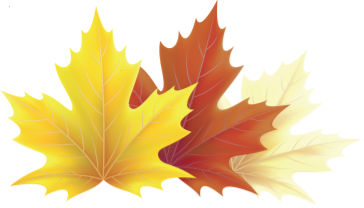 Hills Medical Service