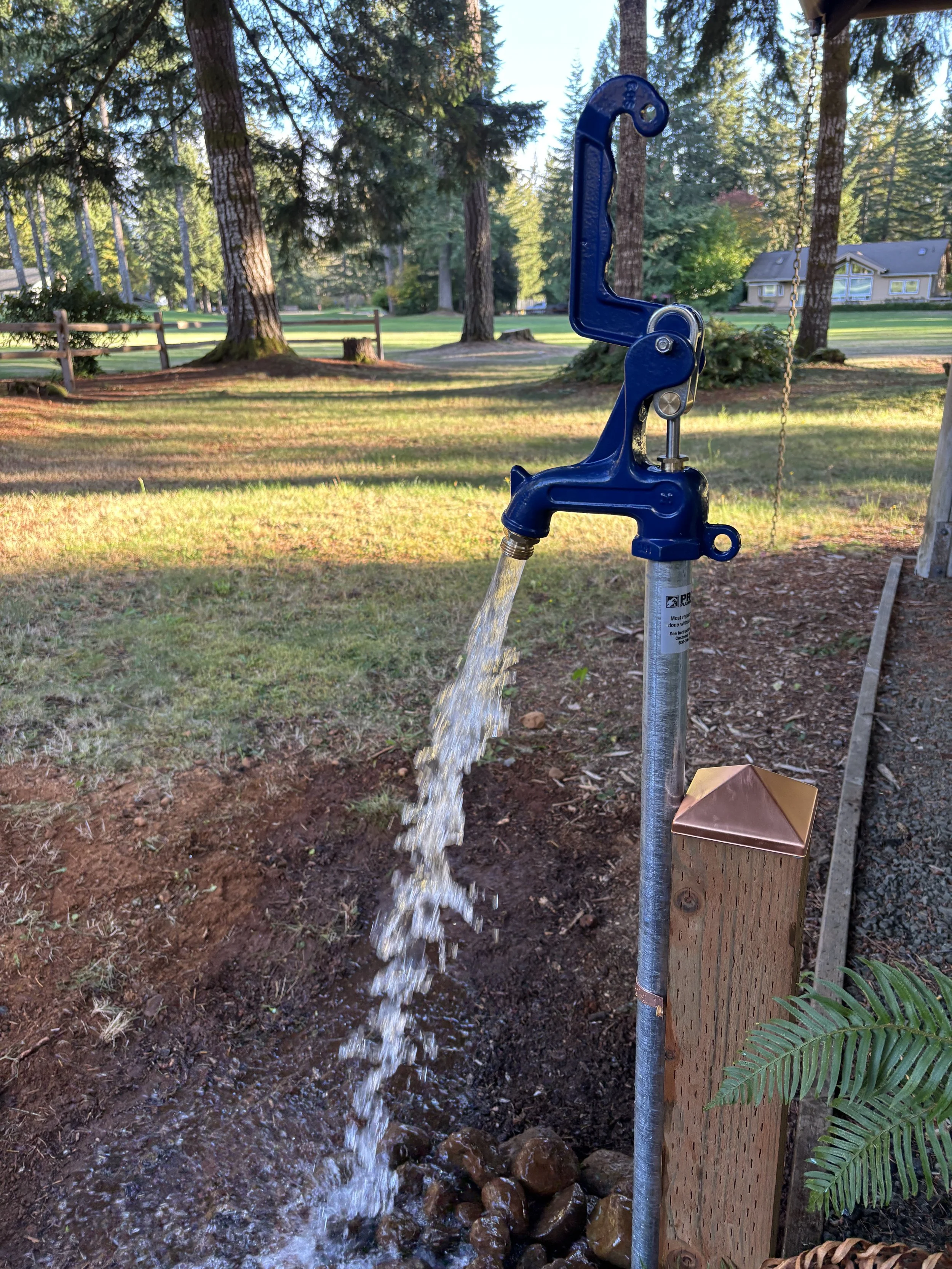 Water flowing from a blue outdoor water spigot mounted on a wooden post in a park setting with trees and a house in the background.
