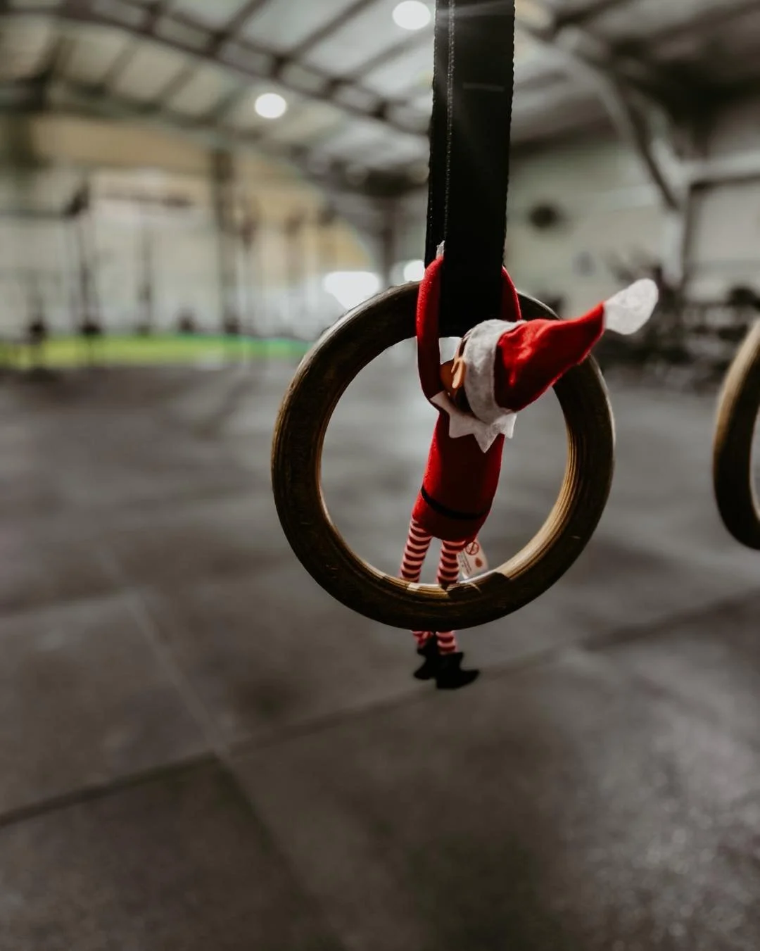 🎄 WHO&rsquo;S A FESTIVE WEAPON? 🎄
Training on Christmas Day? Built different.

We&rsquo;ve hidden an elf somewhere in the gym 👀
Find it, message us the location while you&rsquo;re in the gym, and you could win a prize 🎁

⏰ Christmas Day only

#my