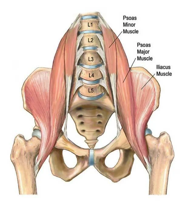 Why your hips feel tight &amp; what you can do to help
