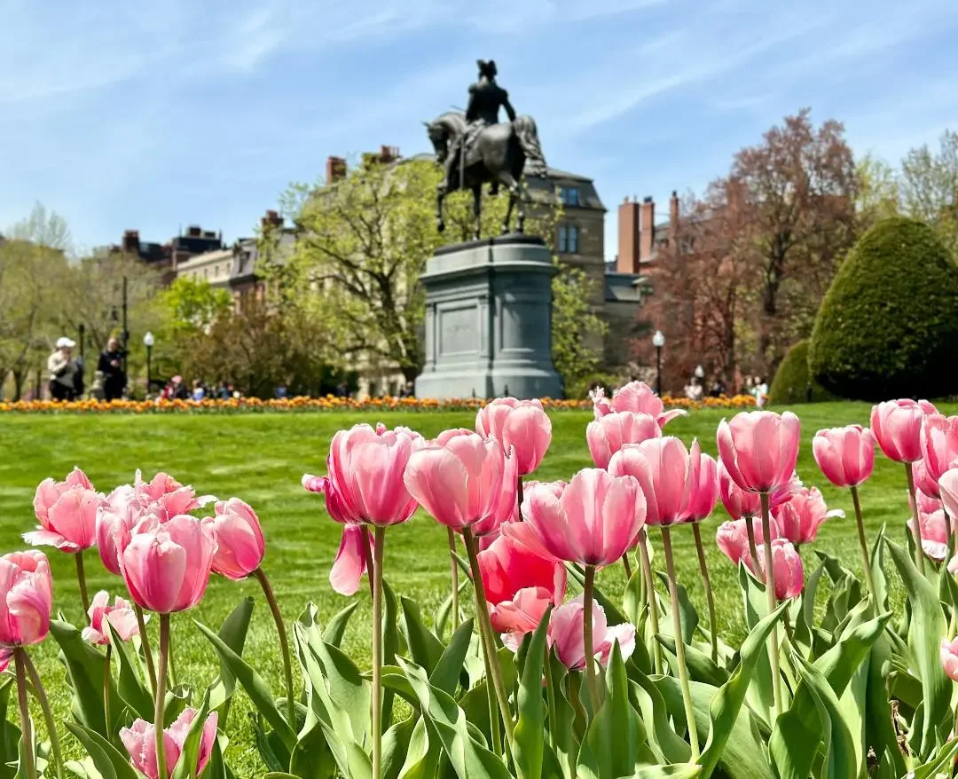 Springtime in Boston: How Allergies Can Affect Your Neck, Back, and Overall Health