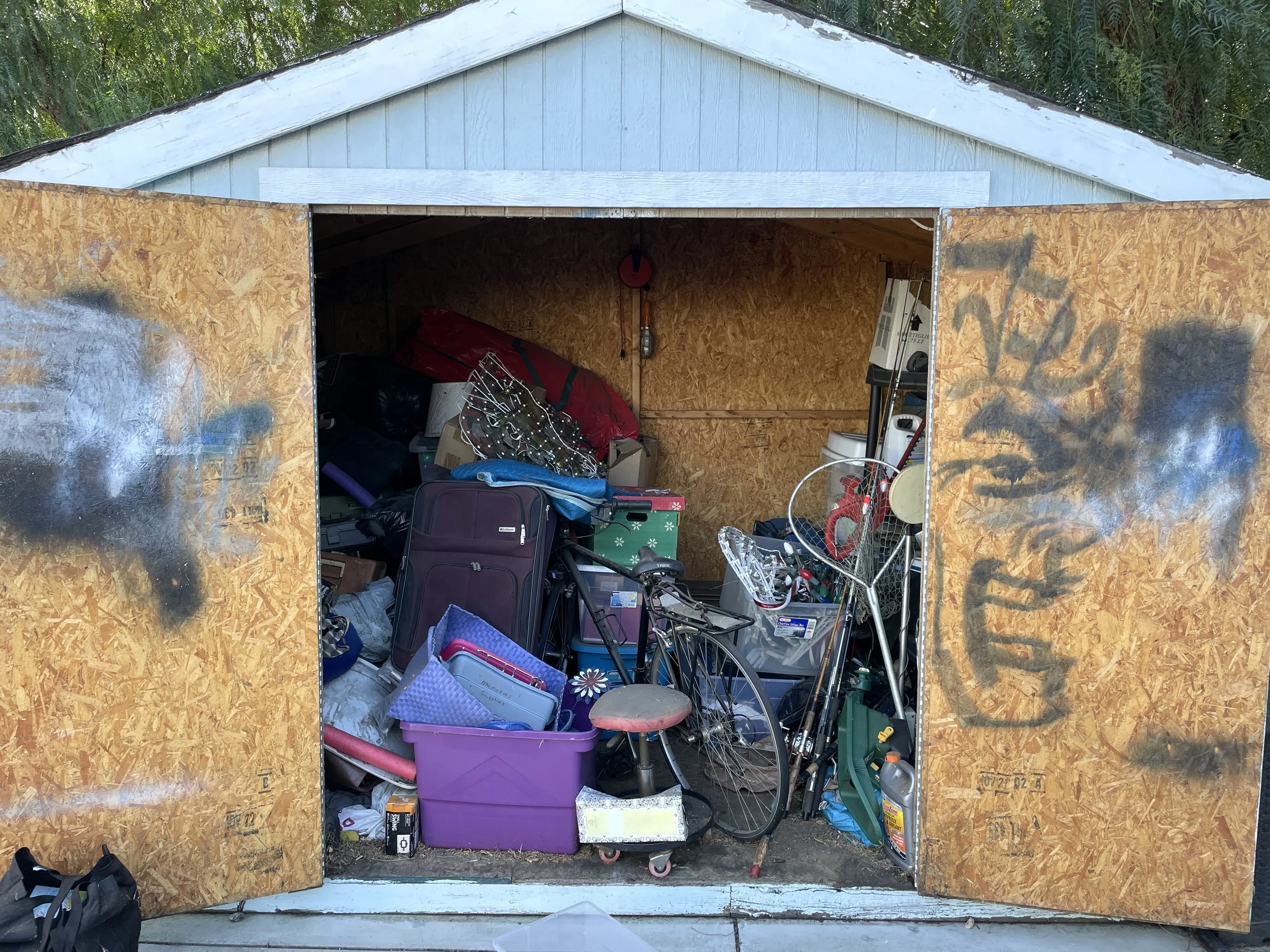 The open door of a small storage shed filled with various household and outdoor items, including a bicycle, plastic storage containers, and gardening tools, with trees in the background and some graffiti on the shed's exterior.