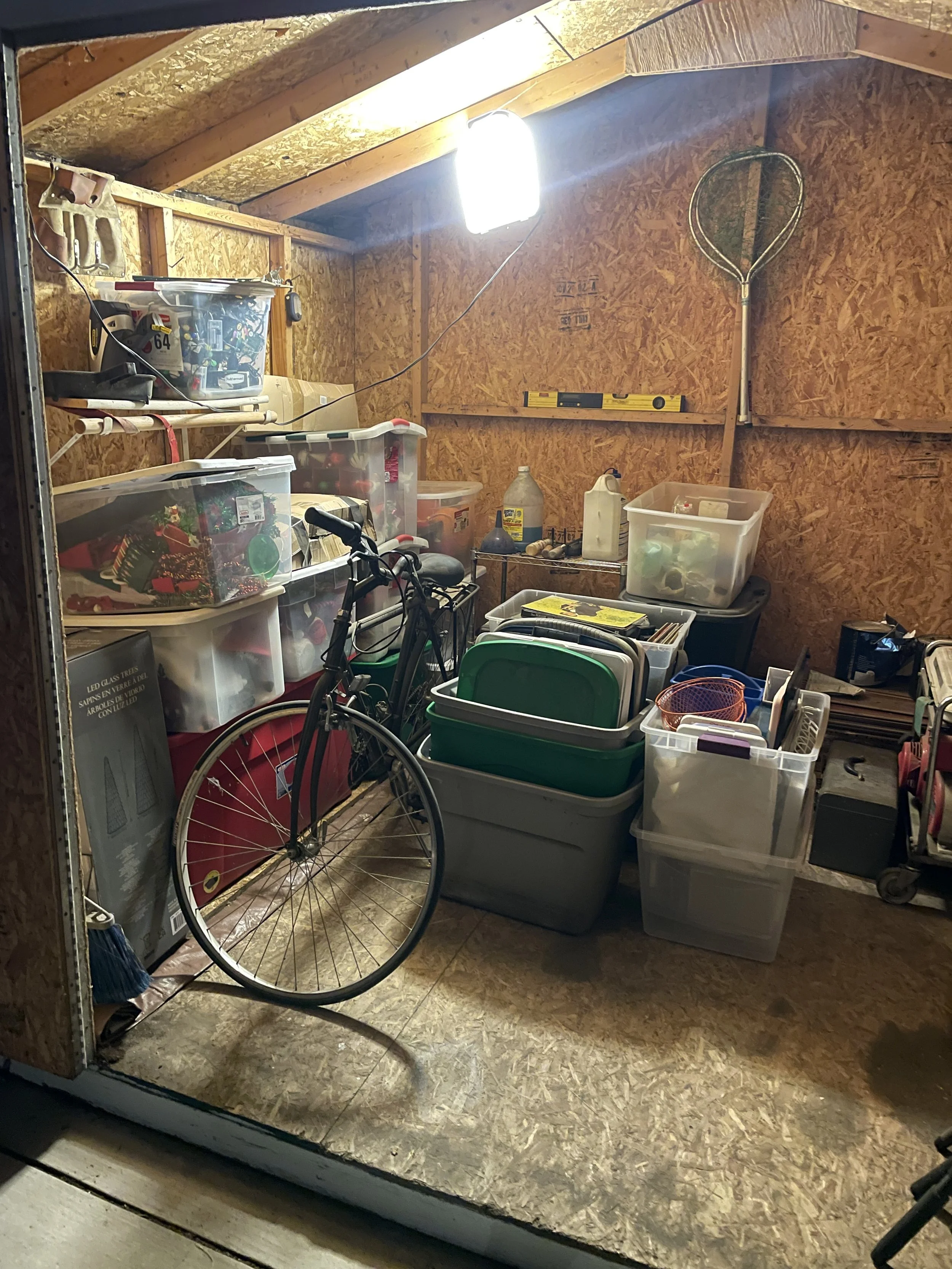 Inside a wooden shed filled with plastic storage bins, a bicycle, a level tool, a hockey stick, and various household items.