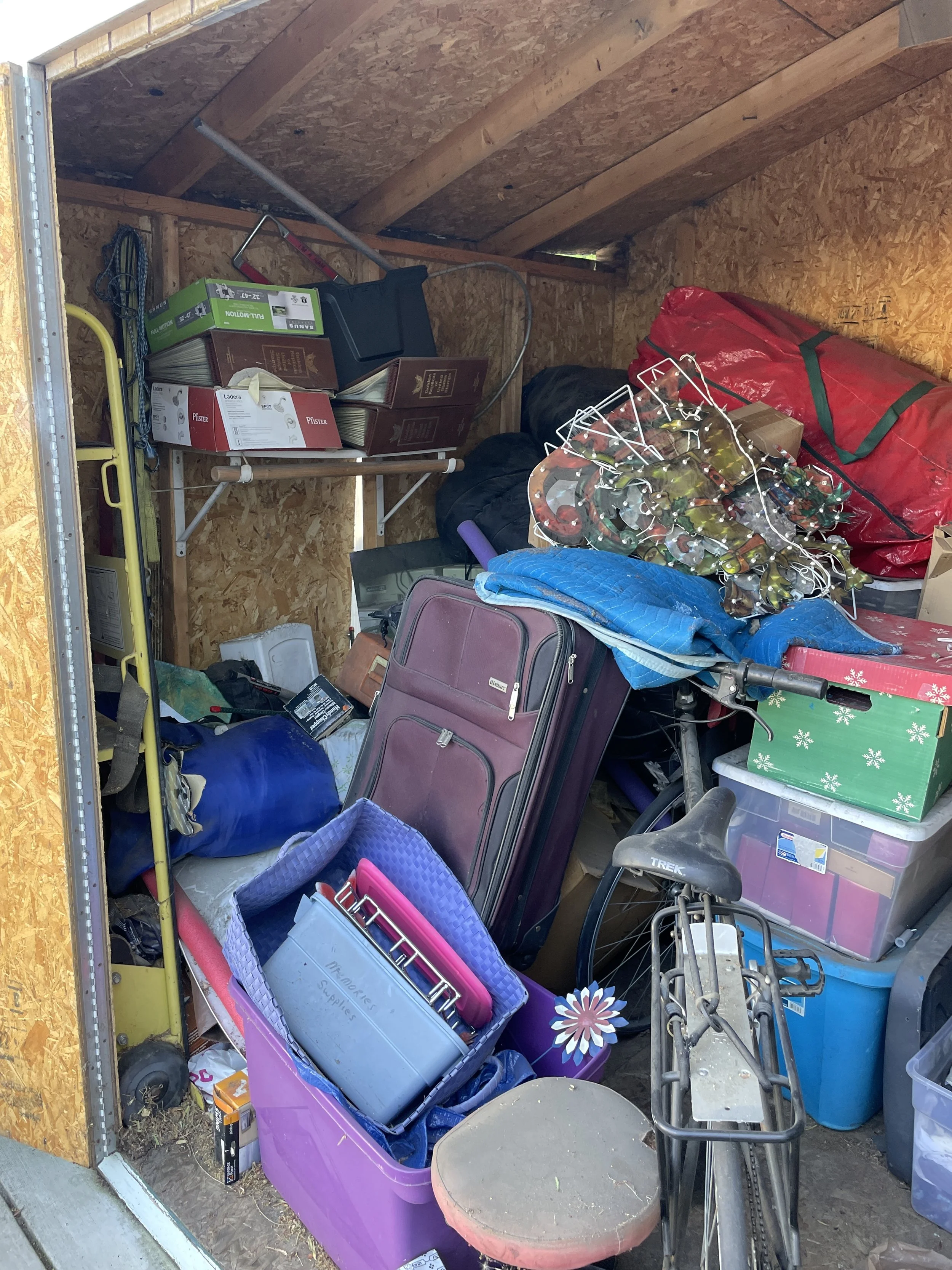 A cluttered storage shed with various items including a purple storage bin, a bicycle, Christmas decorations, boxes, and other miscellaneous household items.