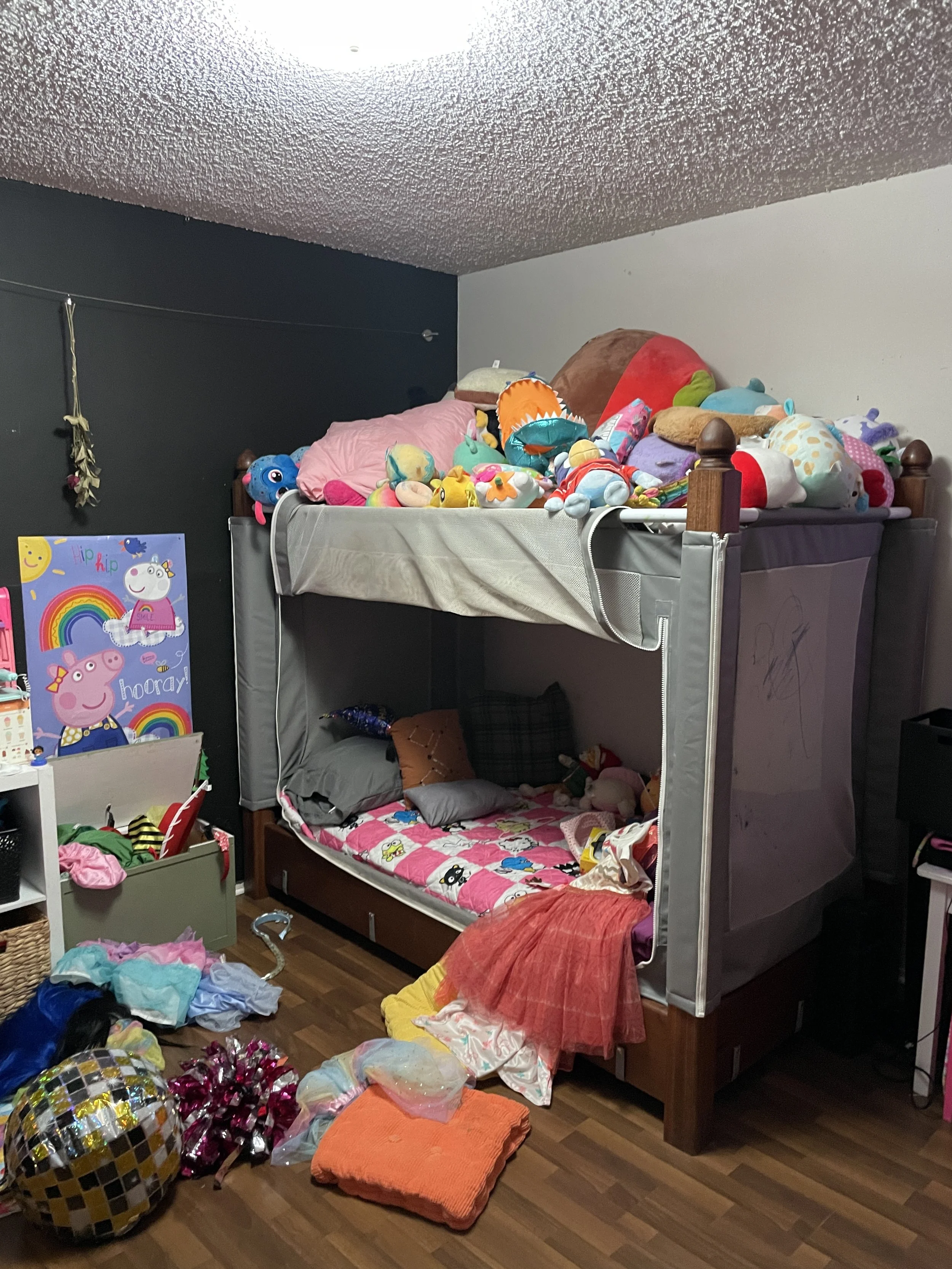 Bunk bed with stuffed animals on top and bedding on the bottom, cluttered with clothes, toys, and miscellaneous items on the floor.