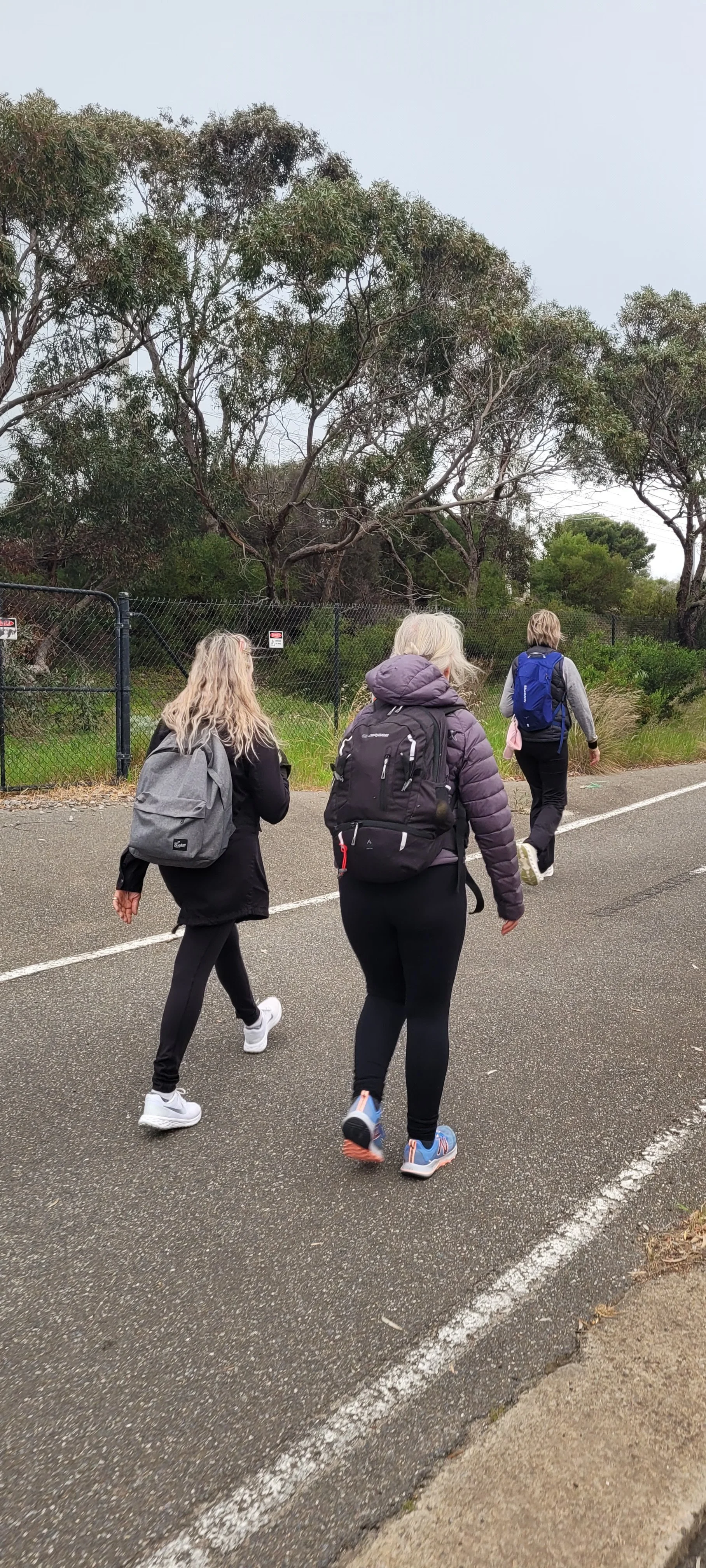 20241005_062023.jpeg