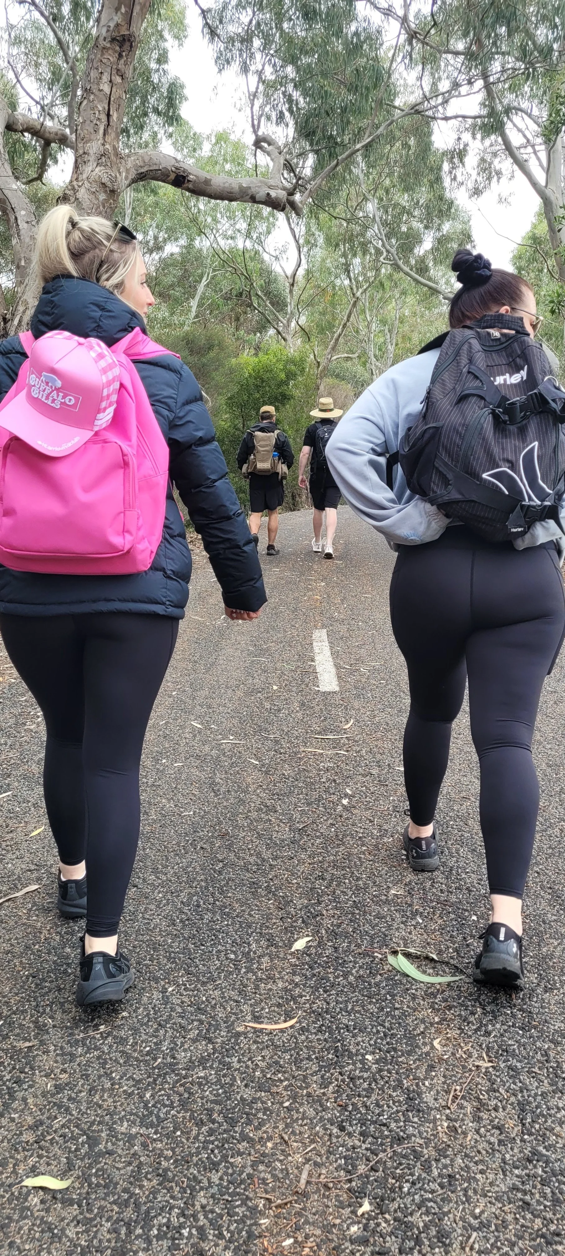 20241005_114438.jpeg