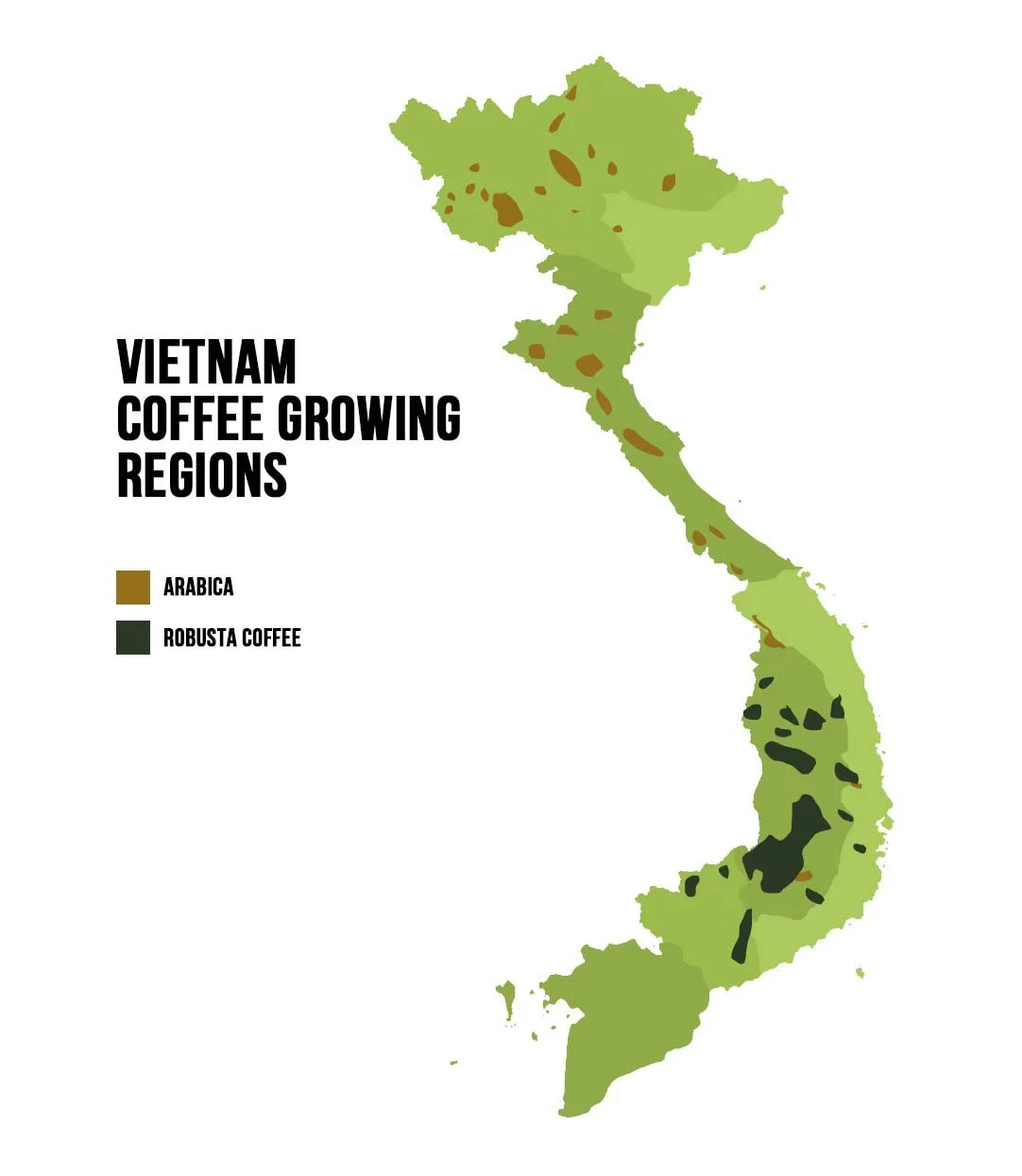 map coffee.jpeg