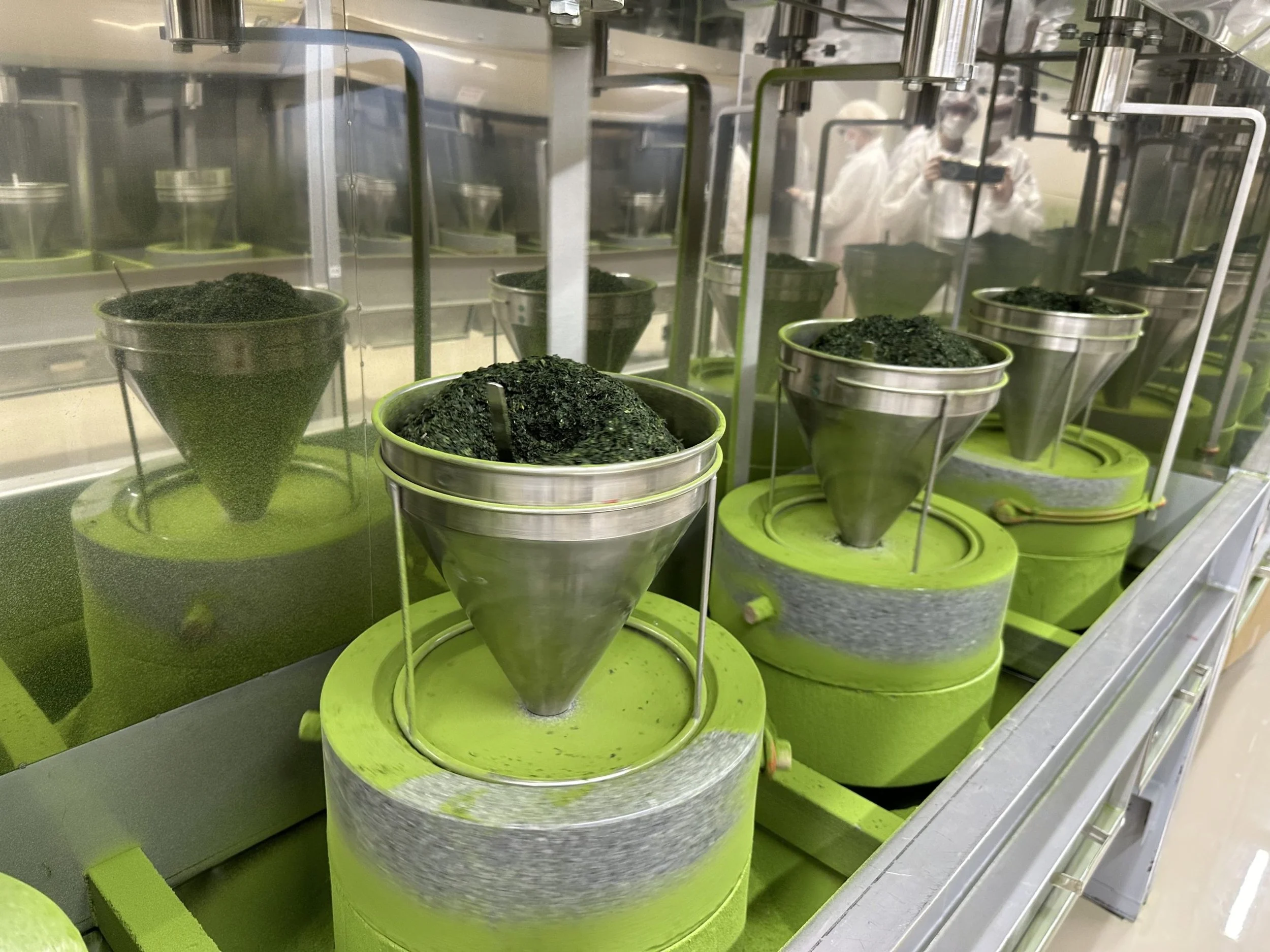 Industrial tea processing machine with multiple stainless steel cones filled with green tea leaves inside a glass enclosure. Two workers in white coats and hairnets are visible in the background.