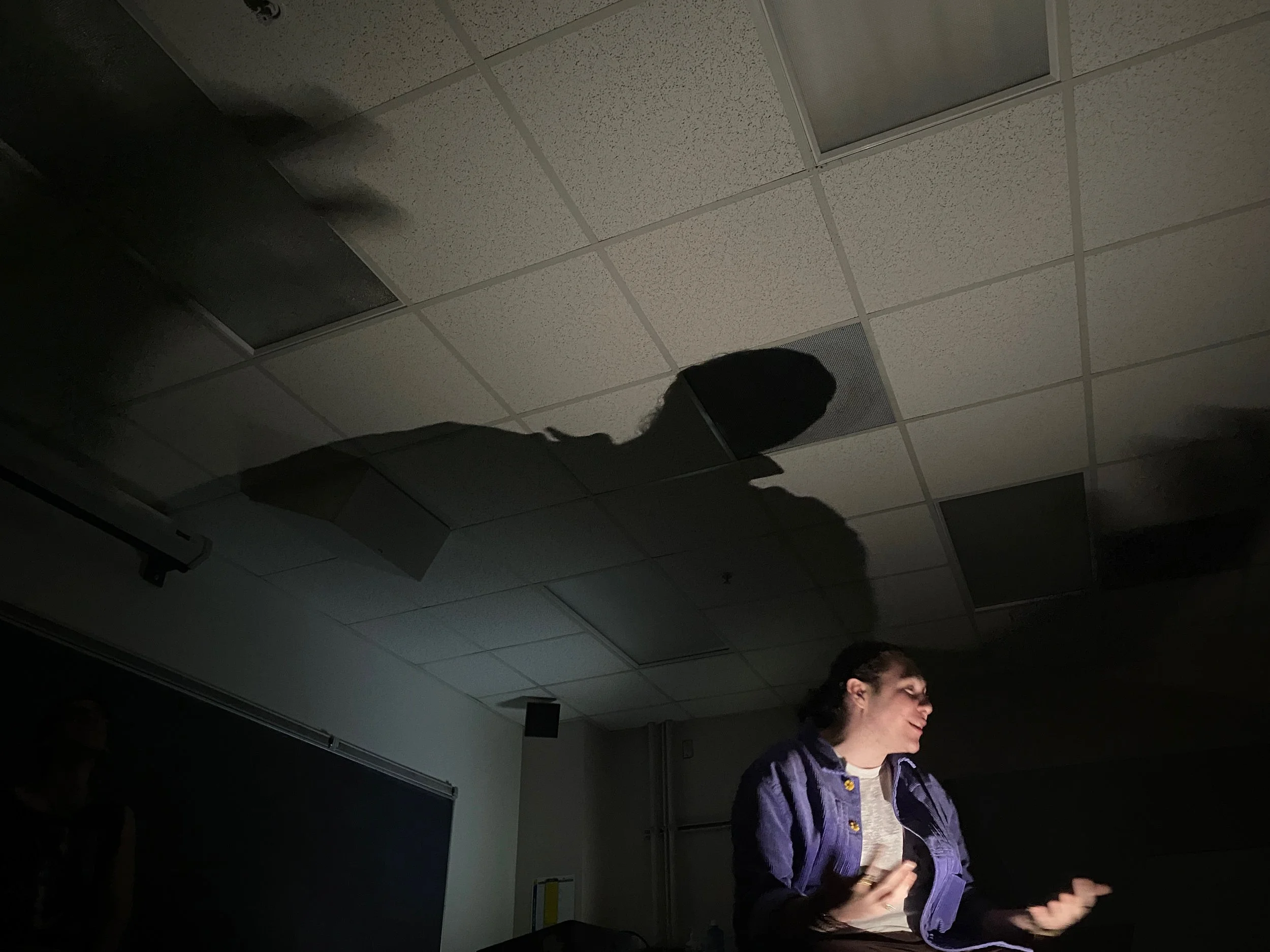 A woman sitting in a dark room, smiling, with her shadow cast on the ceiling by a light source outside the frame.